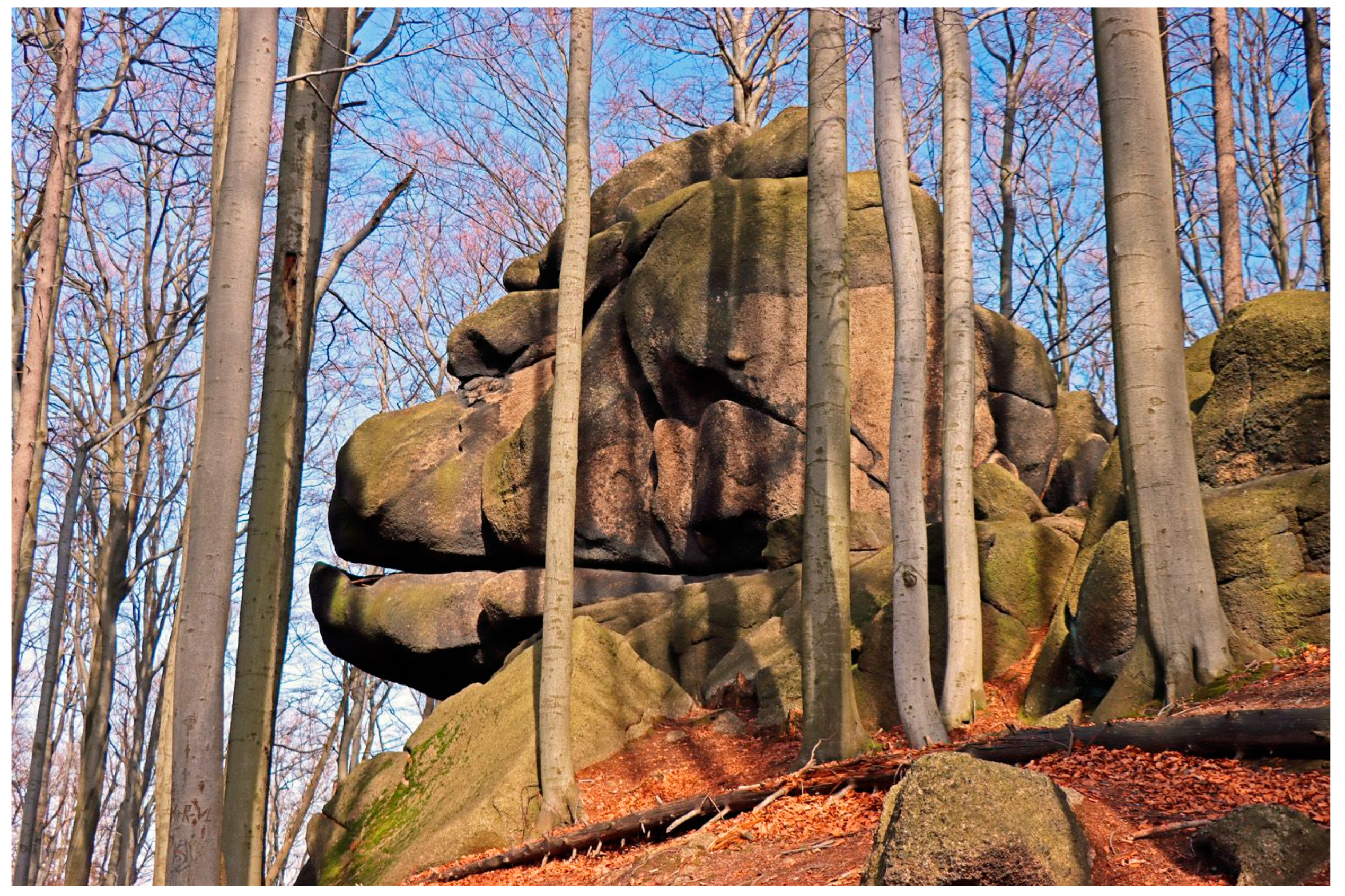 Land 12 00828 g003 Land 12 00828 g003