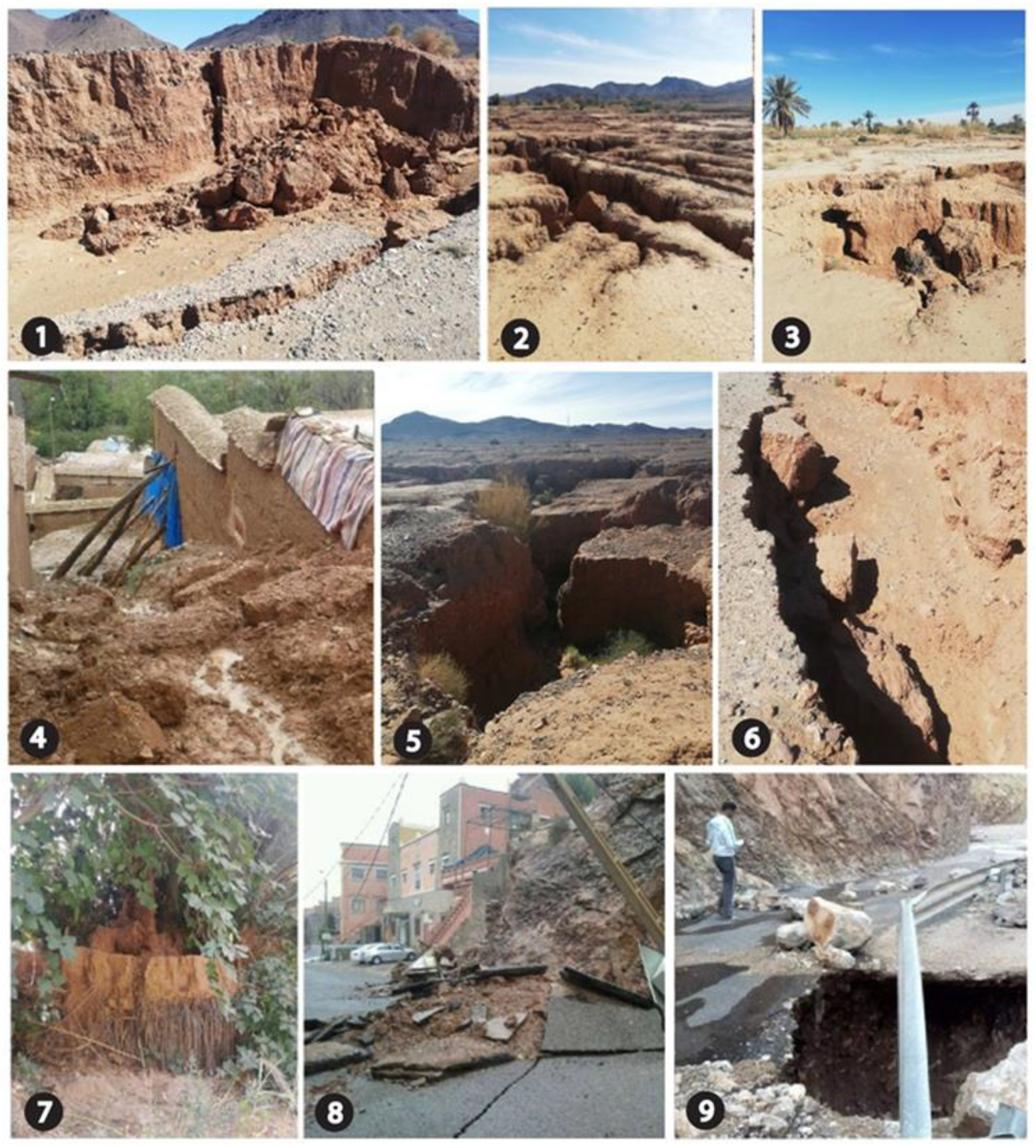 Land 12 00837 g009 Land 12 00837 g009