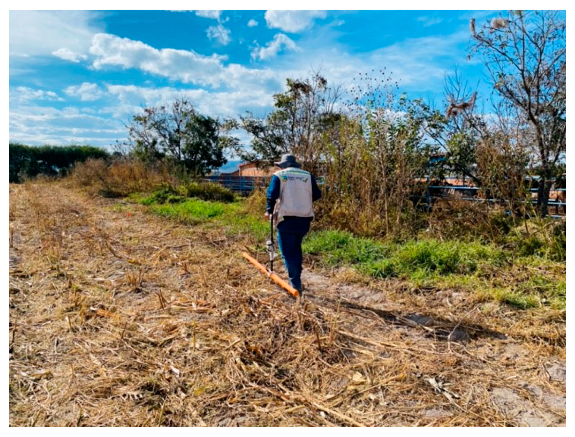 Land 12 00877 g003 Land 12 00877 g003