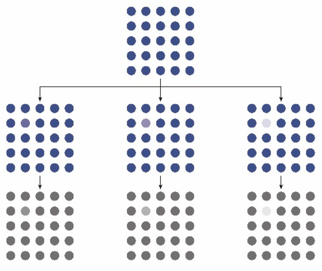 Land 12 00883 g001 Land 12 00883 g001