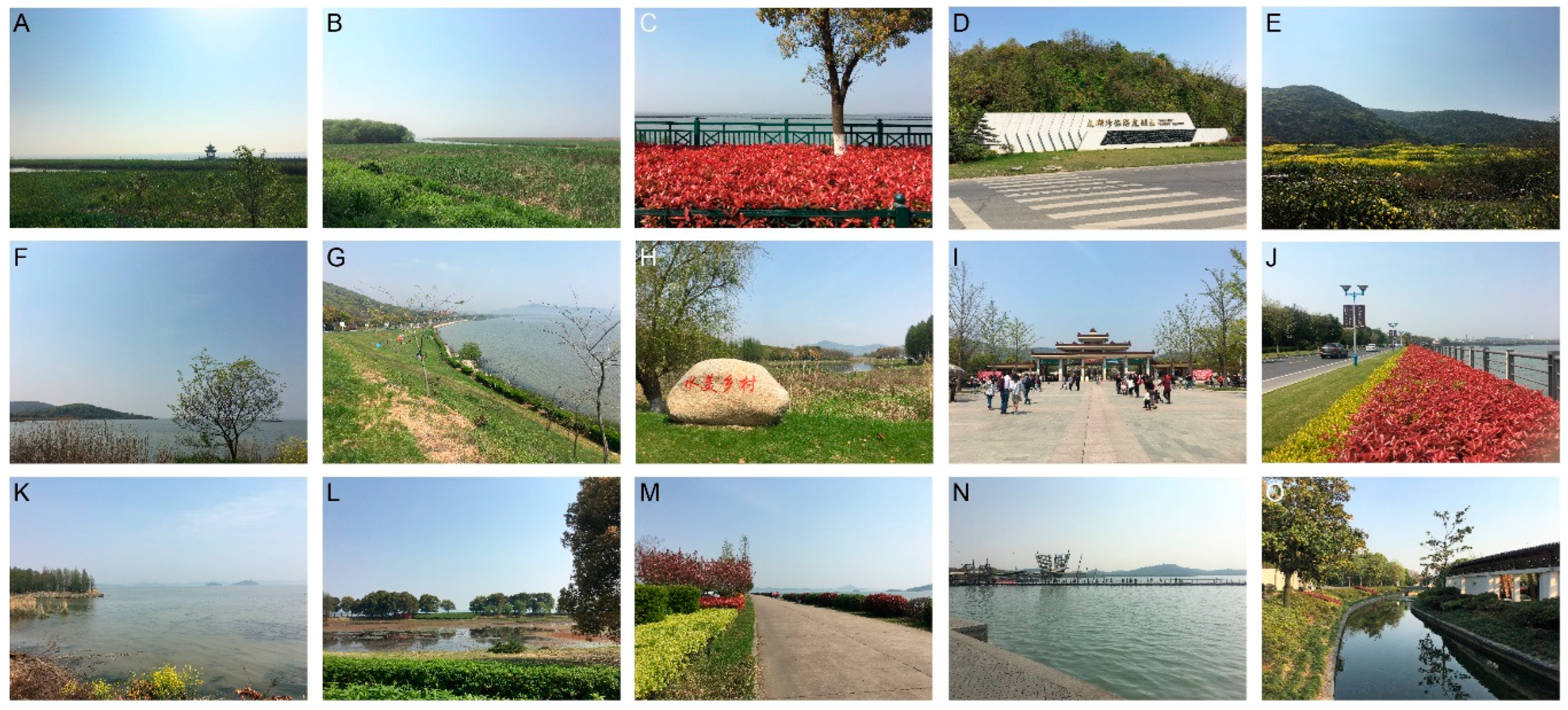 Land 12 00883 g005 Land 12 00883 g005