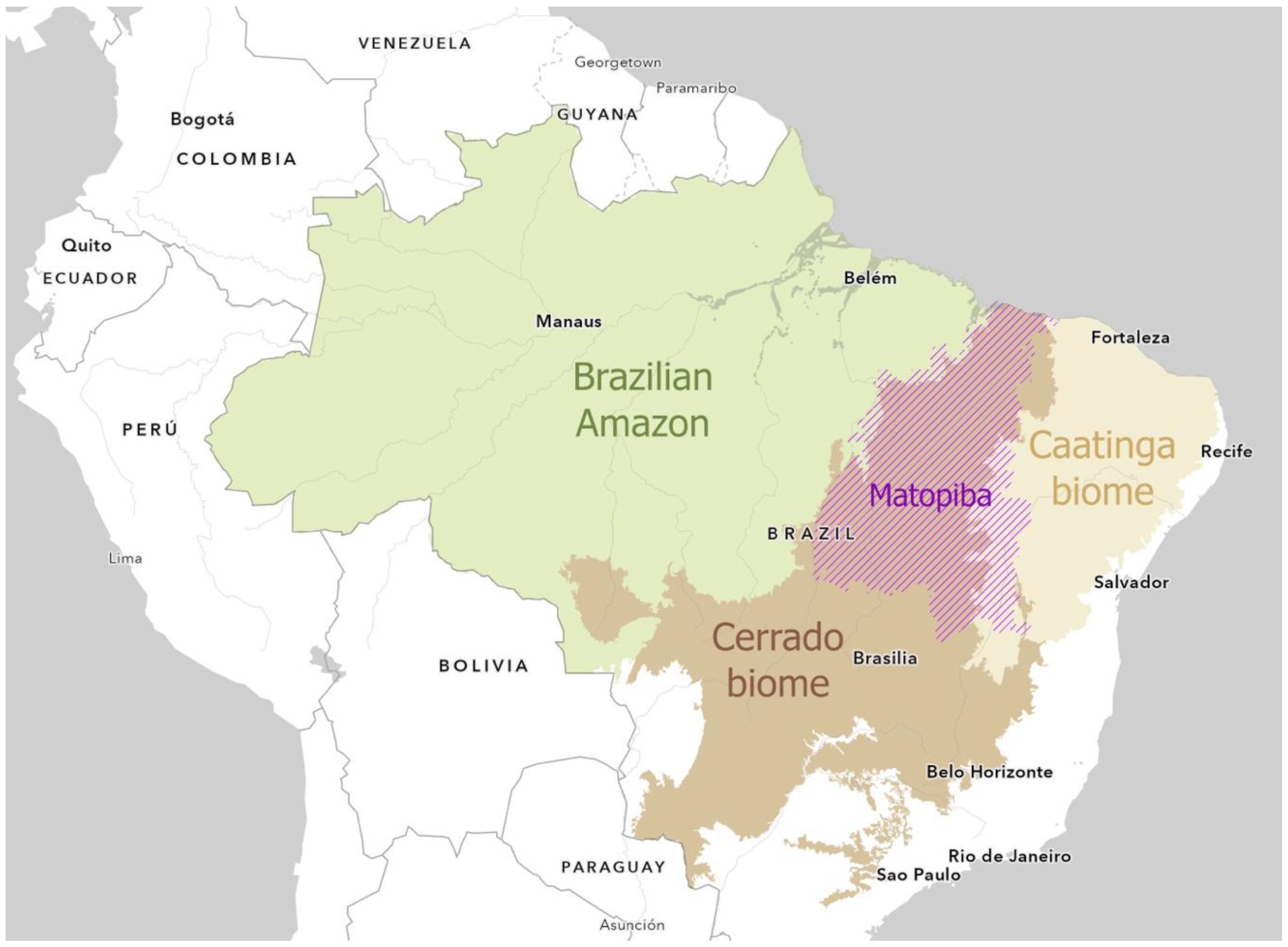 WORLD CLASS MANUFACTURING EM RECIFE