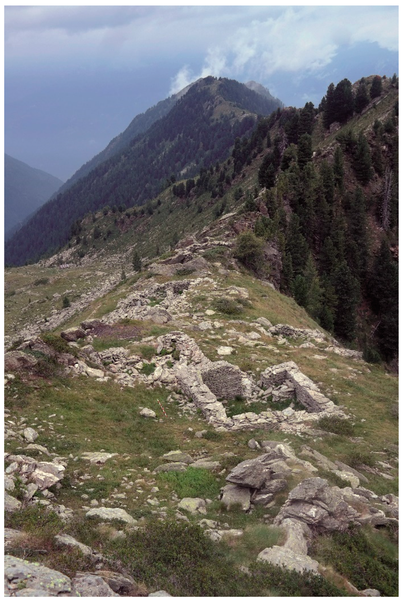 PDF) Going up the mountain! Exploitation of the Trentino highlands as  summer farms during the Bronze Age: the Dosso Rotondo site at Storo  (northern Italy)