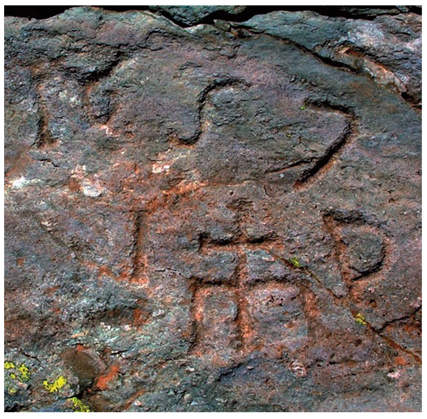 Land 12 01031 g019 550