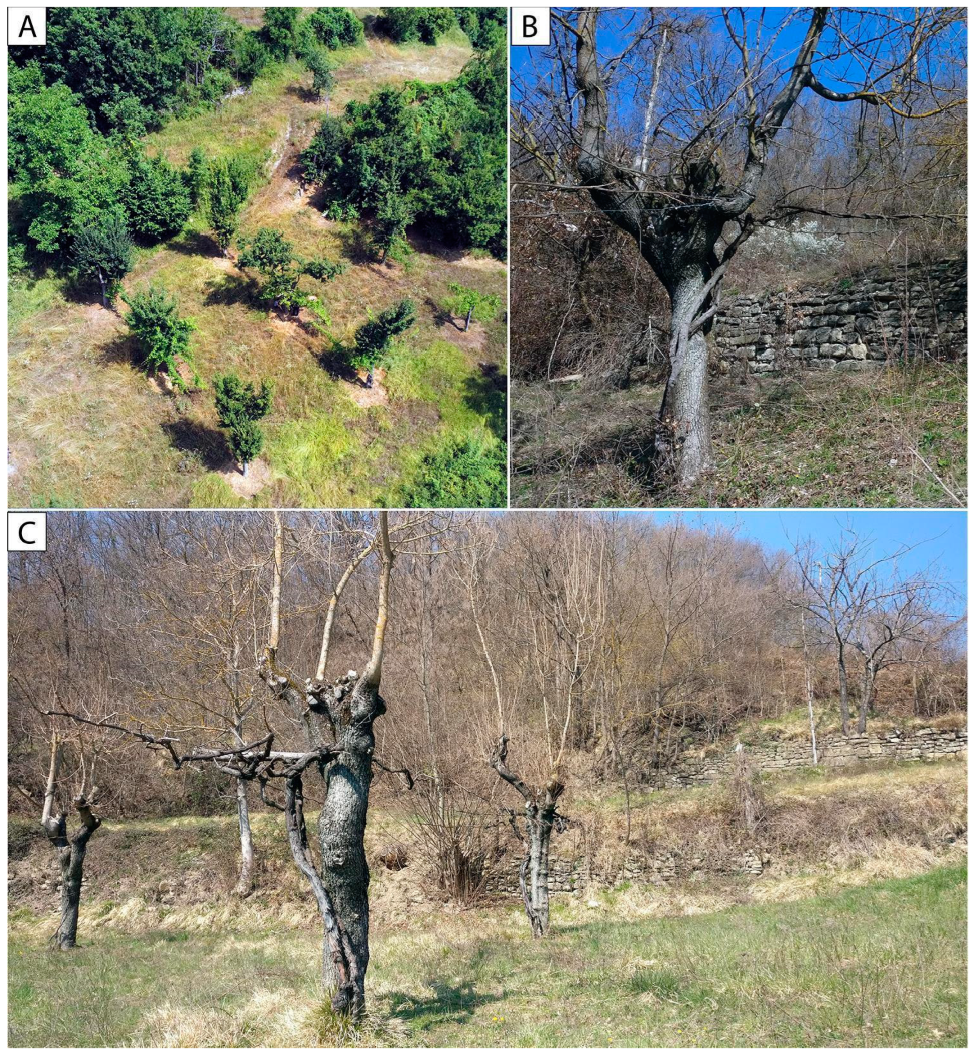 Land 12 01054 g005 Land 12 01054 g005