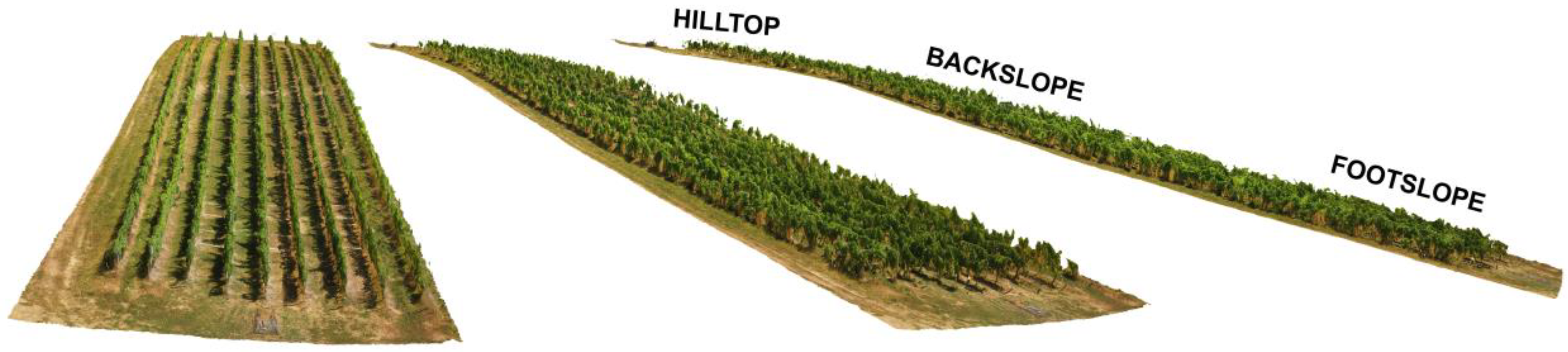 Land 12 01095 g001 Land 12 01095 g001