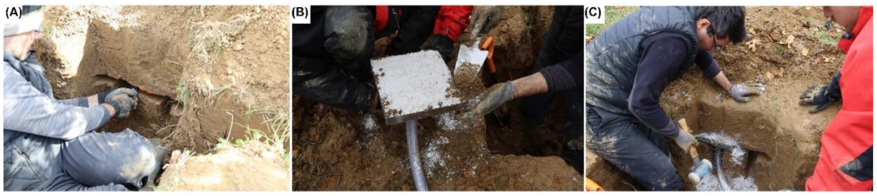 Land 12 01095 g003 Land 12 01095 g003