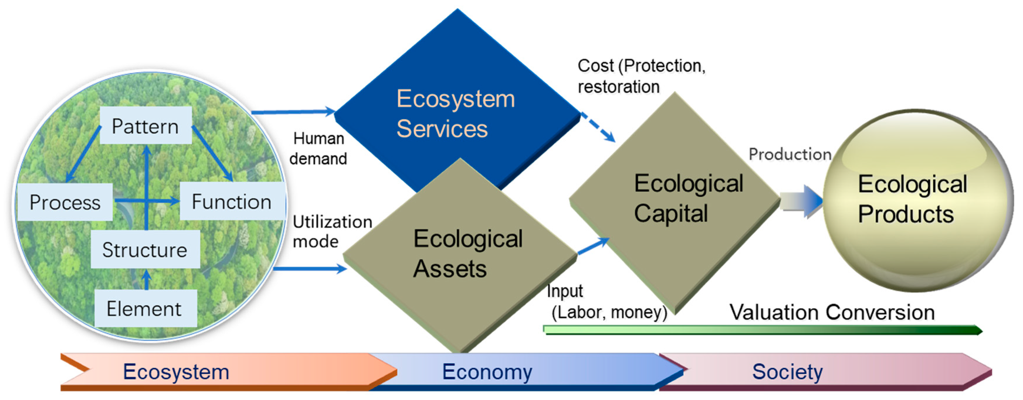 Land 12 01102 g006 Land 12 01102 g006