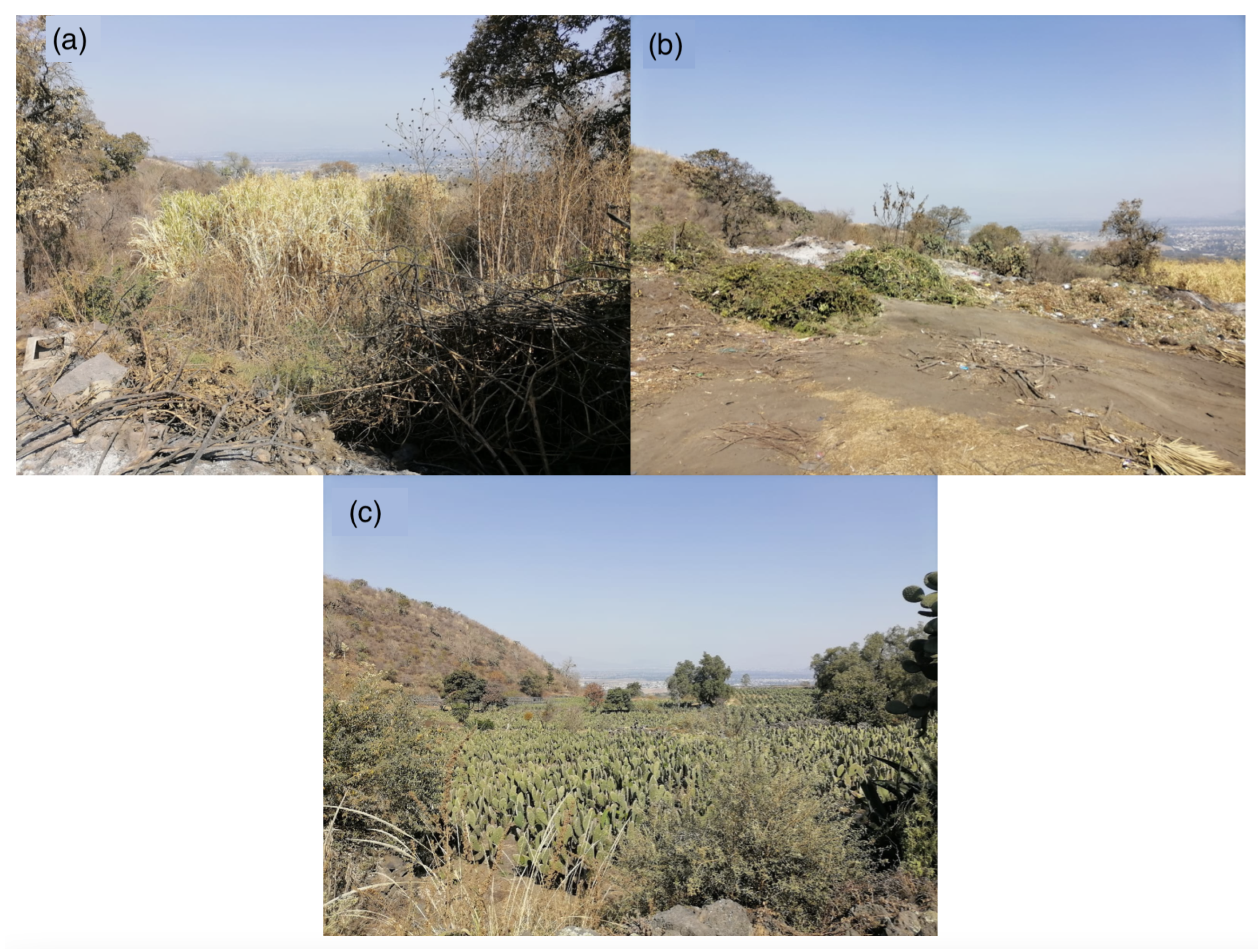 Land 12 01120 g005 Land 12 01120 g005