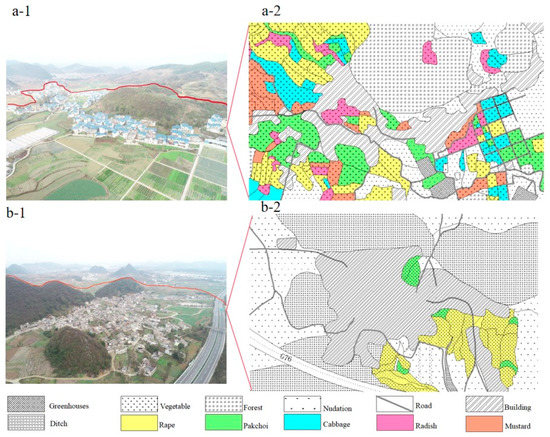A Review of Village Ecosystem Structure and Stability