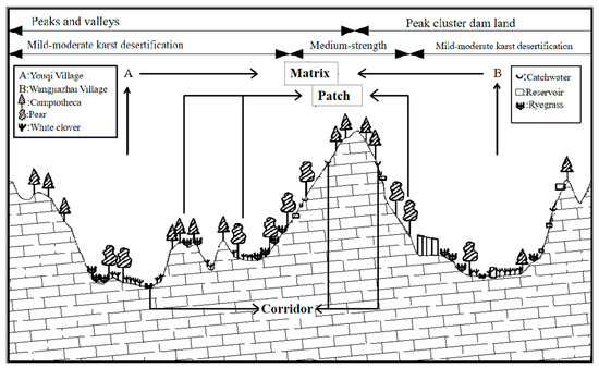 A Review of Village Ecosystem Structure and Stability