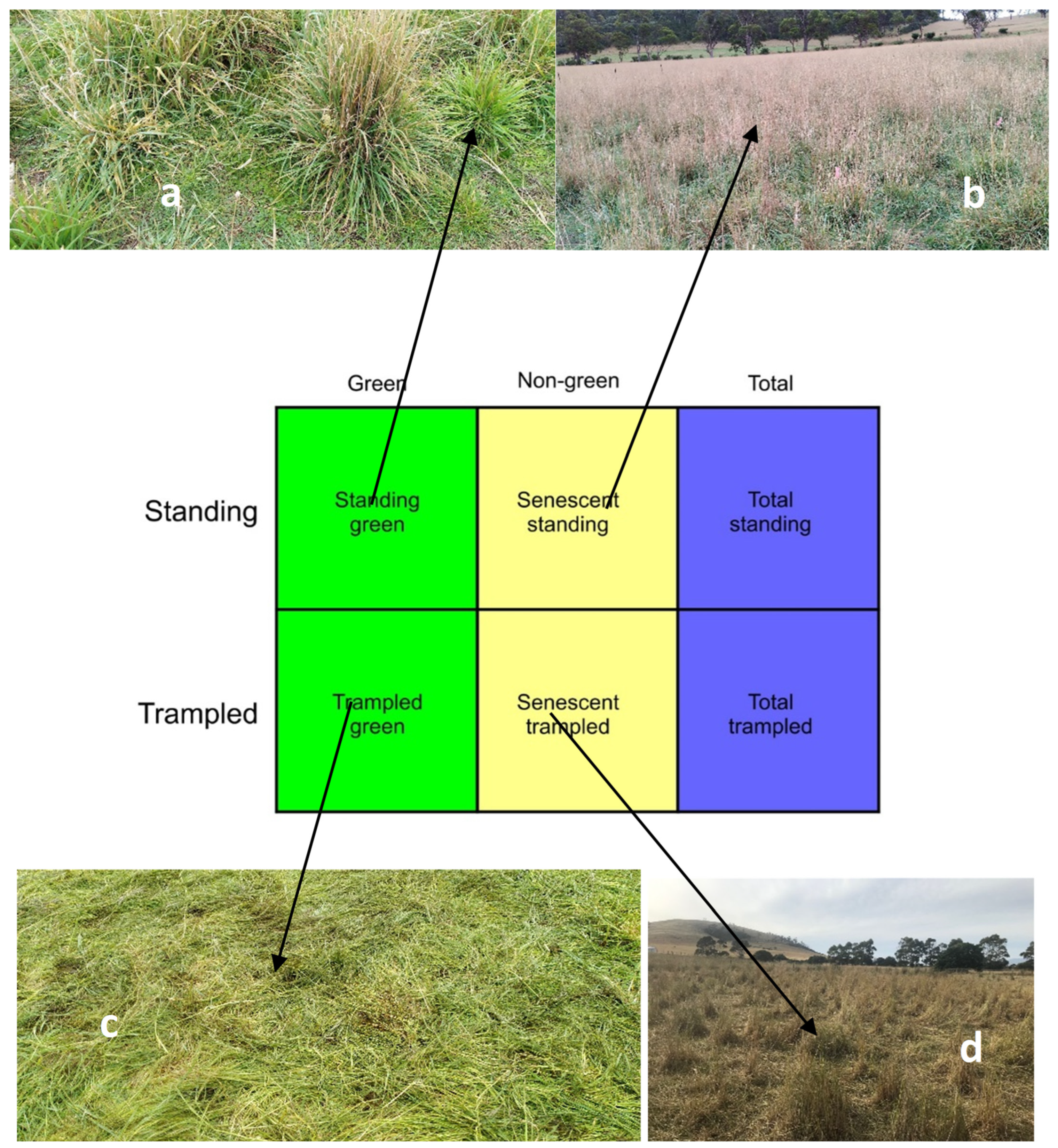 Land 12 01142 g002 Land 12 01142 g002