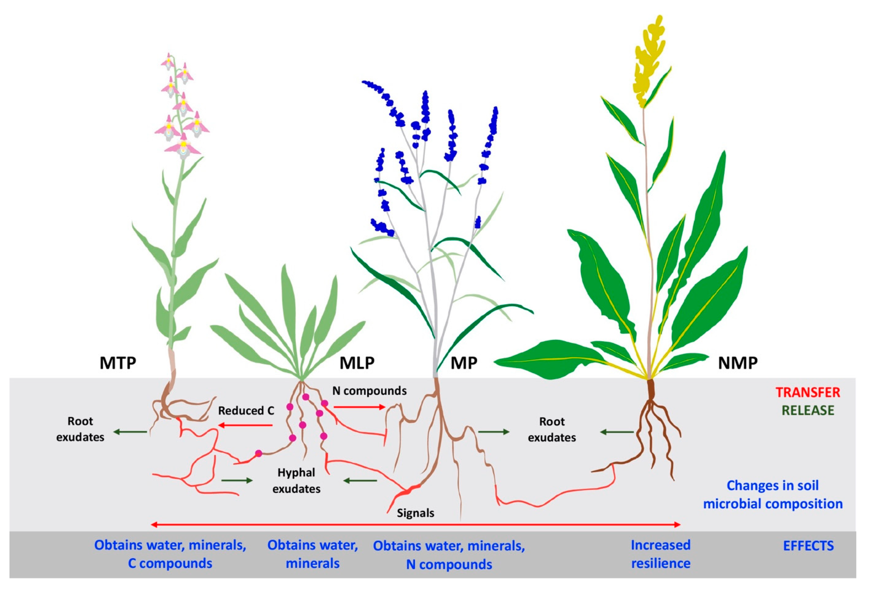 Land 12 01209 g001 Land 12 01209 g001