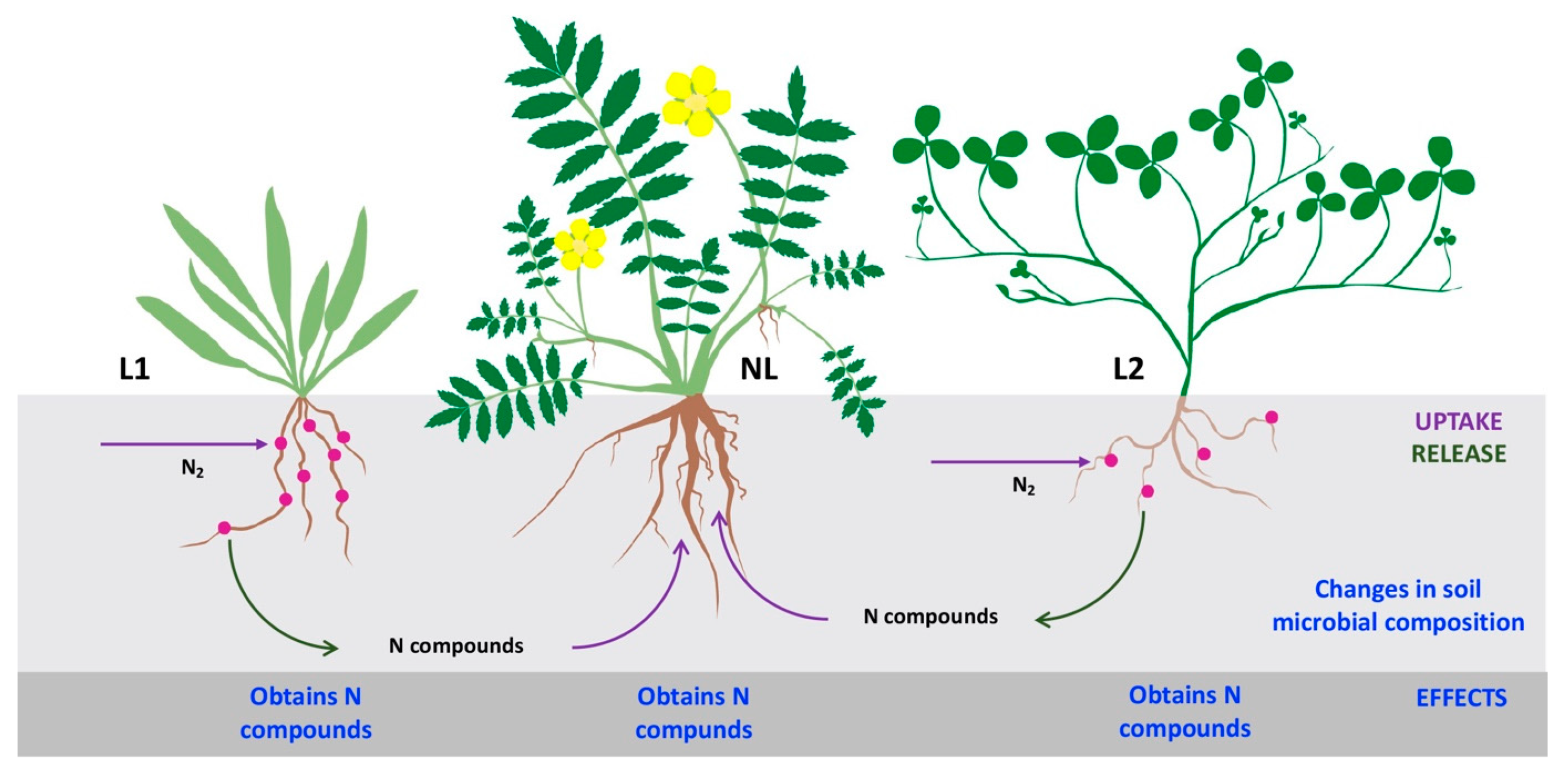 Land 12 01209 g002 Land 12 01209 g002