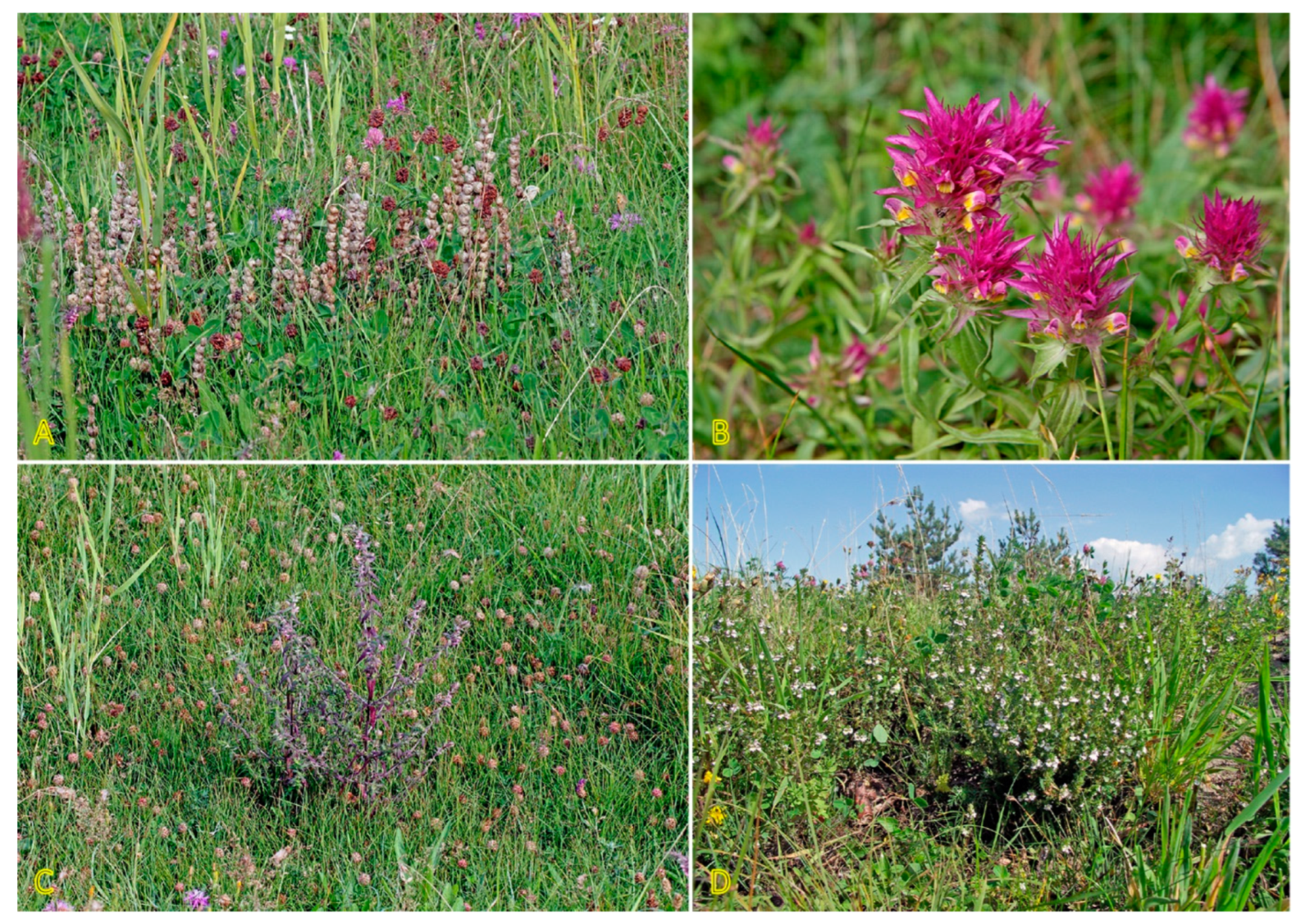 Land 12 01209 g003 Land 12 01209 g003