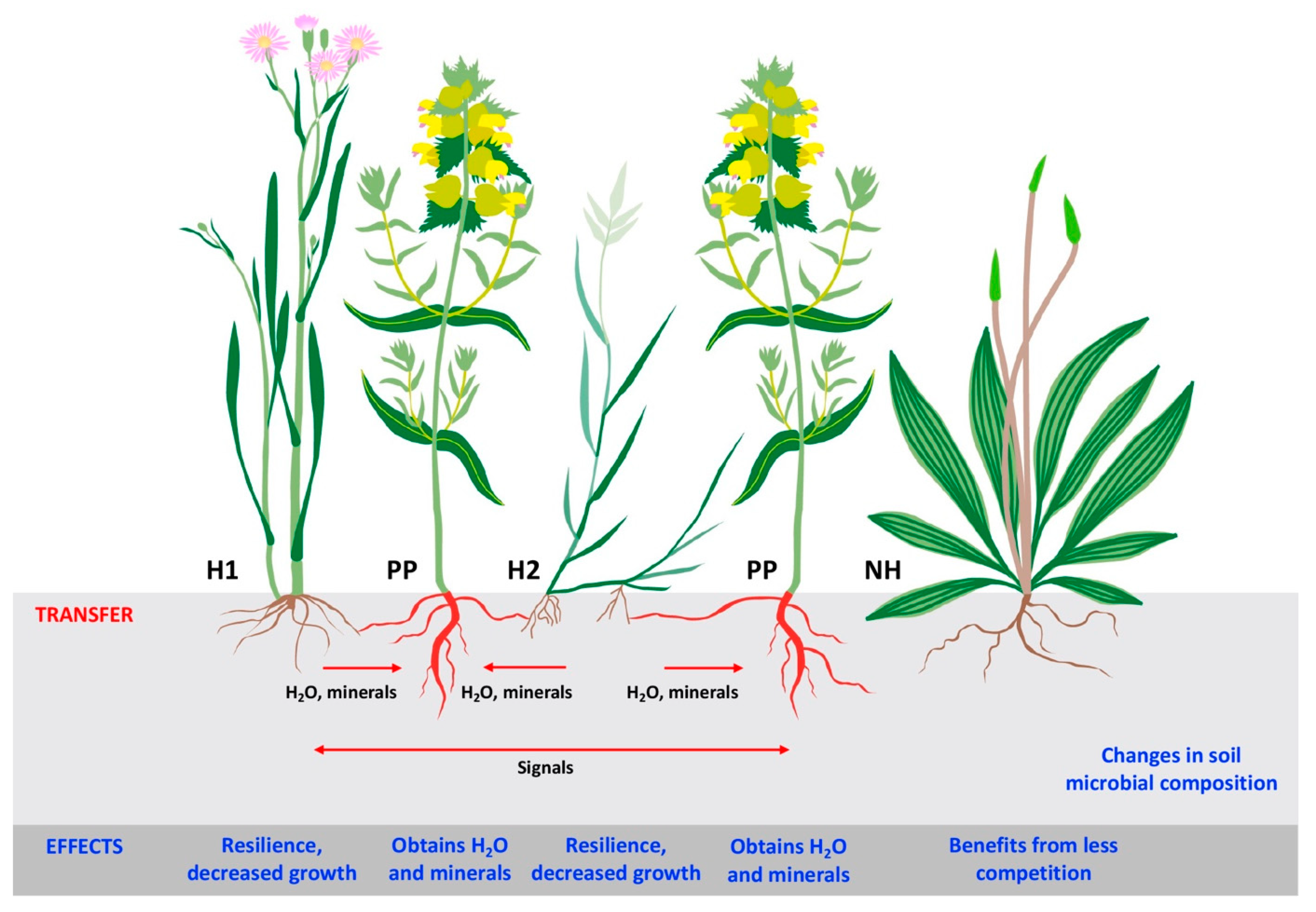 Land 12 01209 g004 Land 12 01209 g004