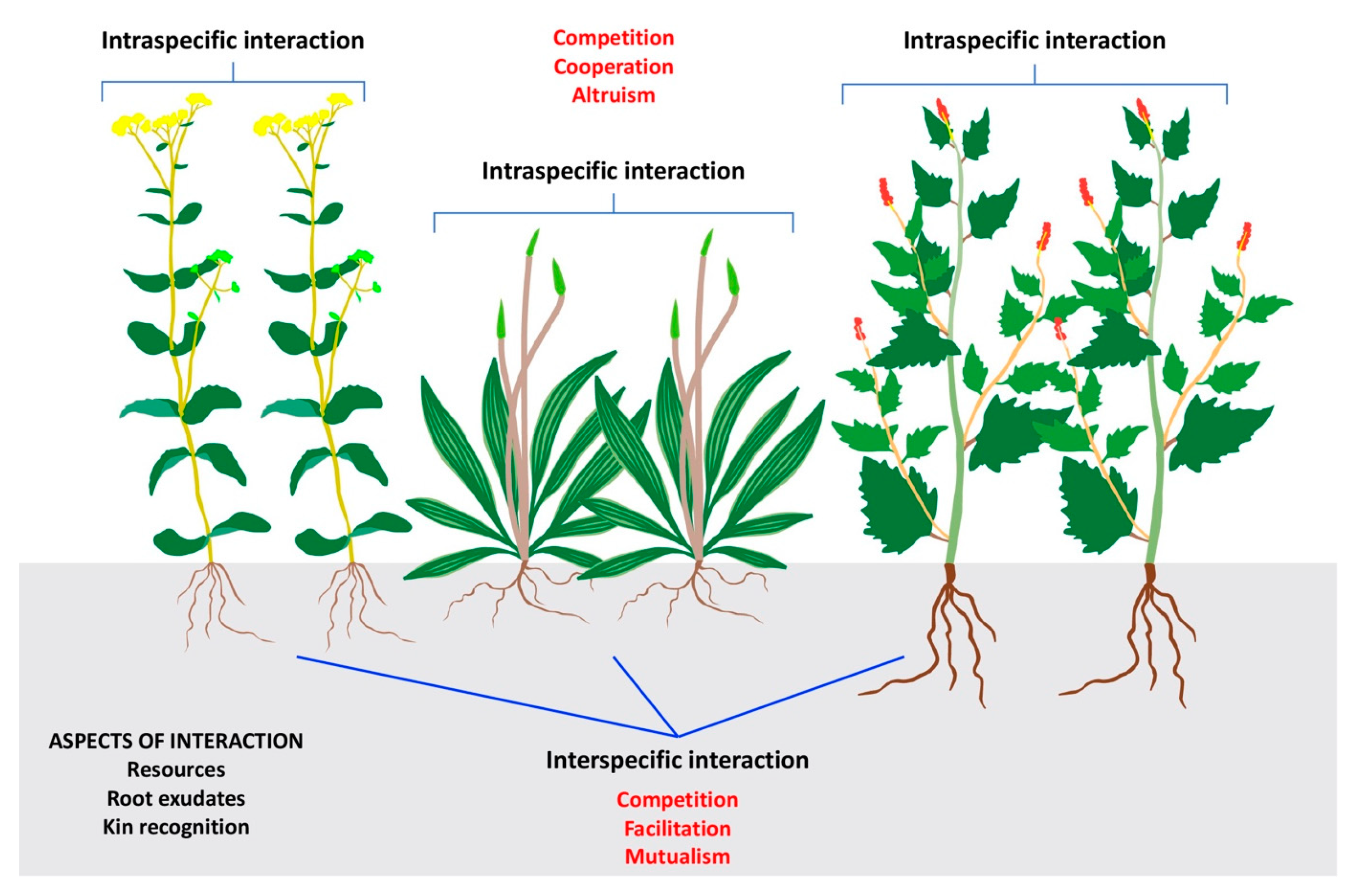 Land 12 01209 g005 Land 12 01209 g005
