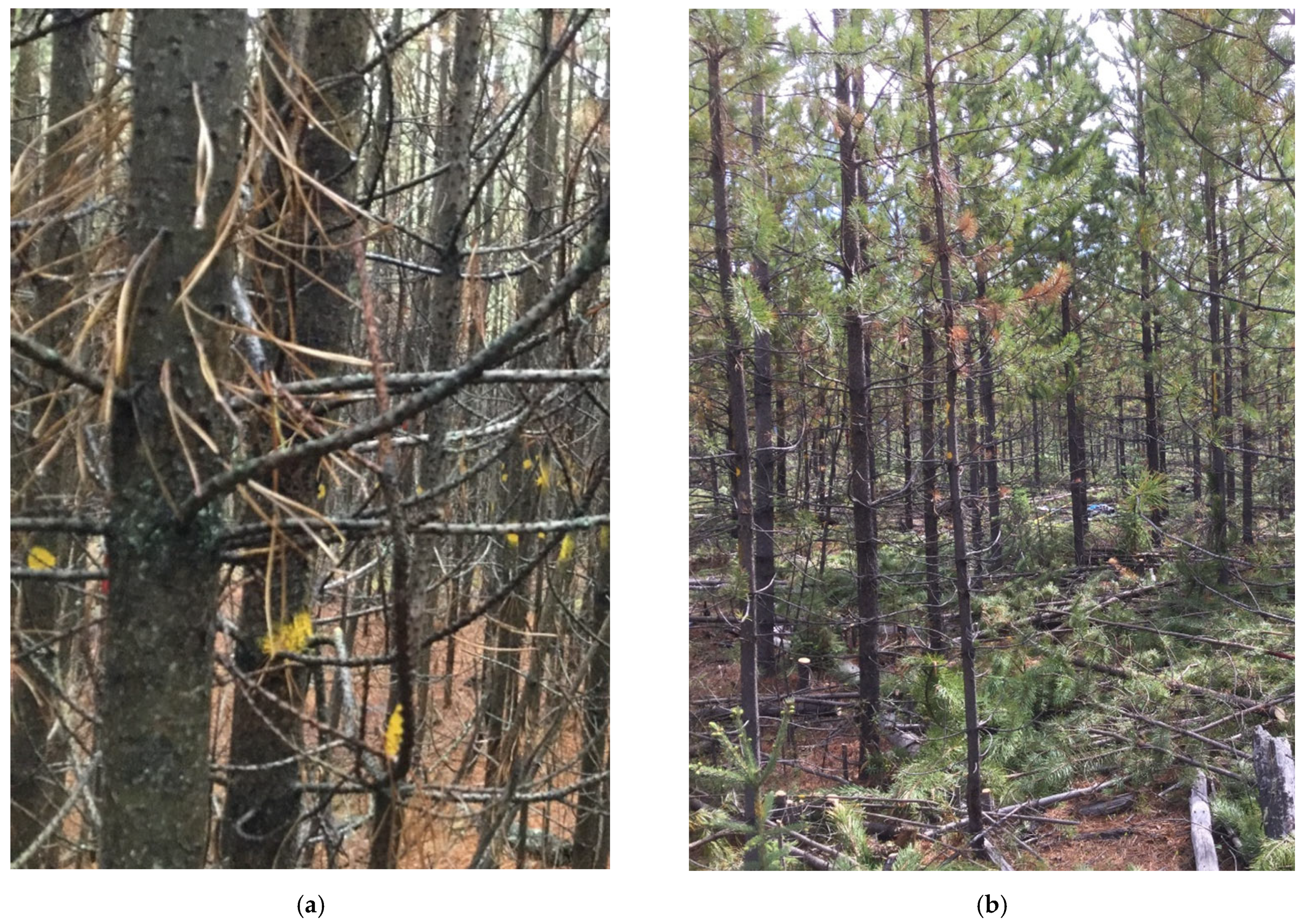 Land 12 01261 g002 Land 12 01261 g002