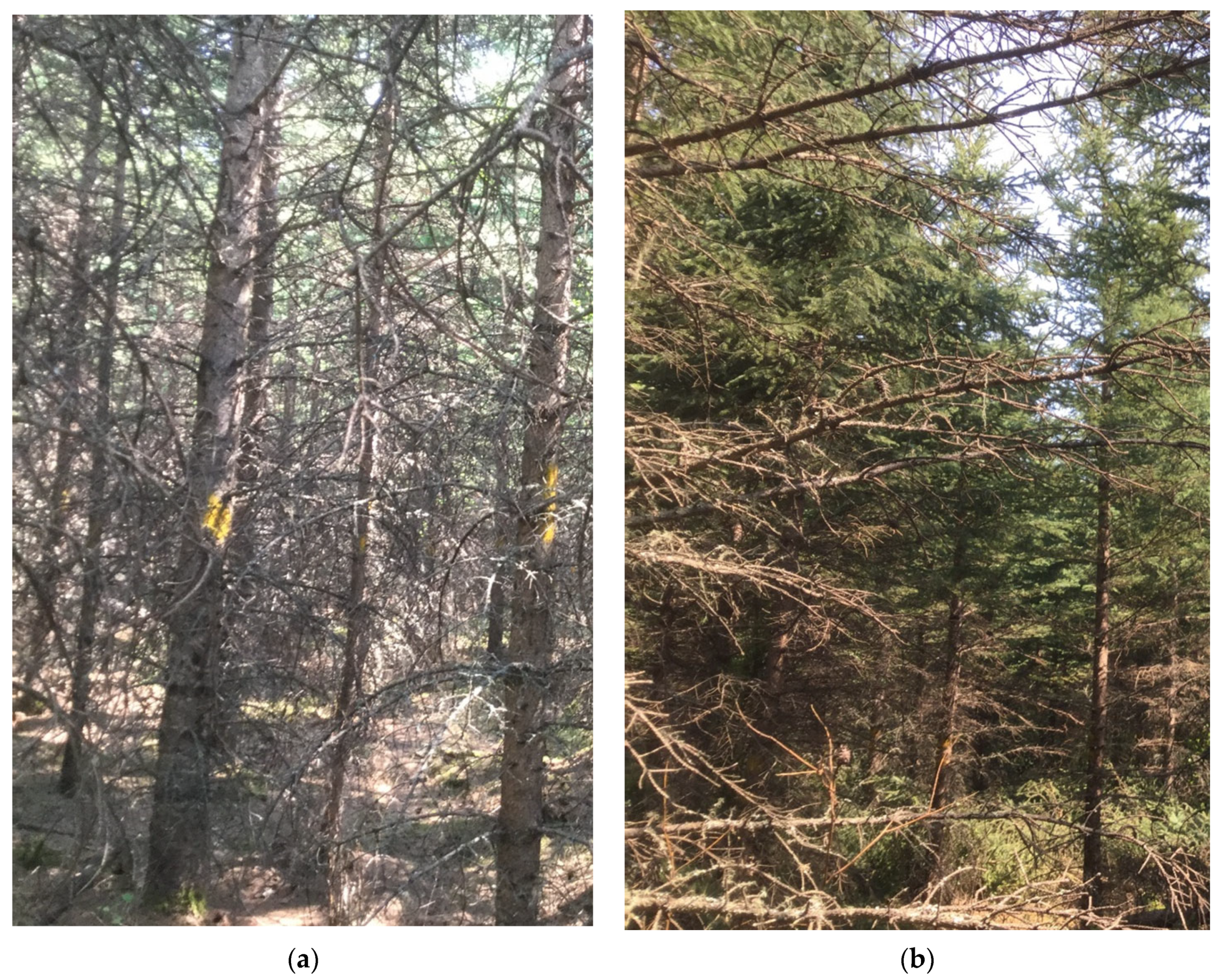 Land 12 01261 g003 Land 12 01261 g003