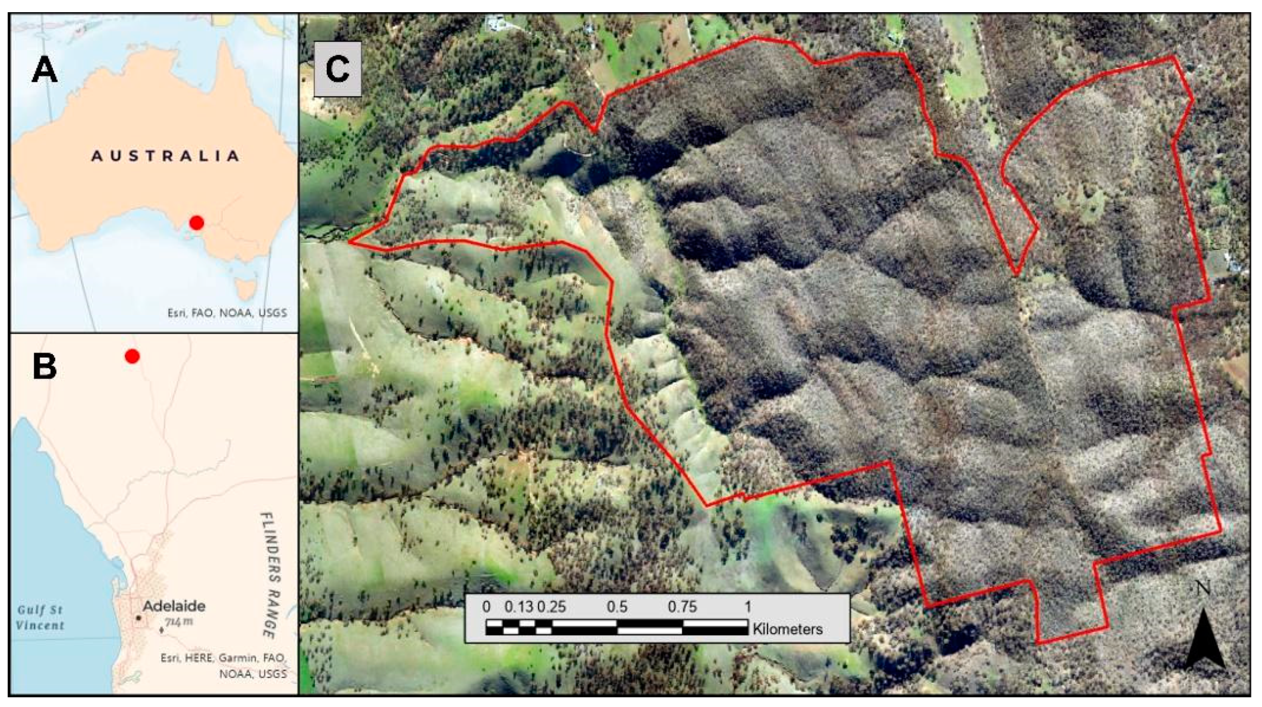 Land 12 01271 g001 Land 12 01271 g001