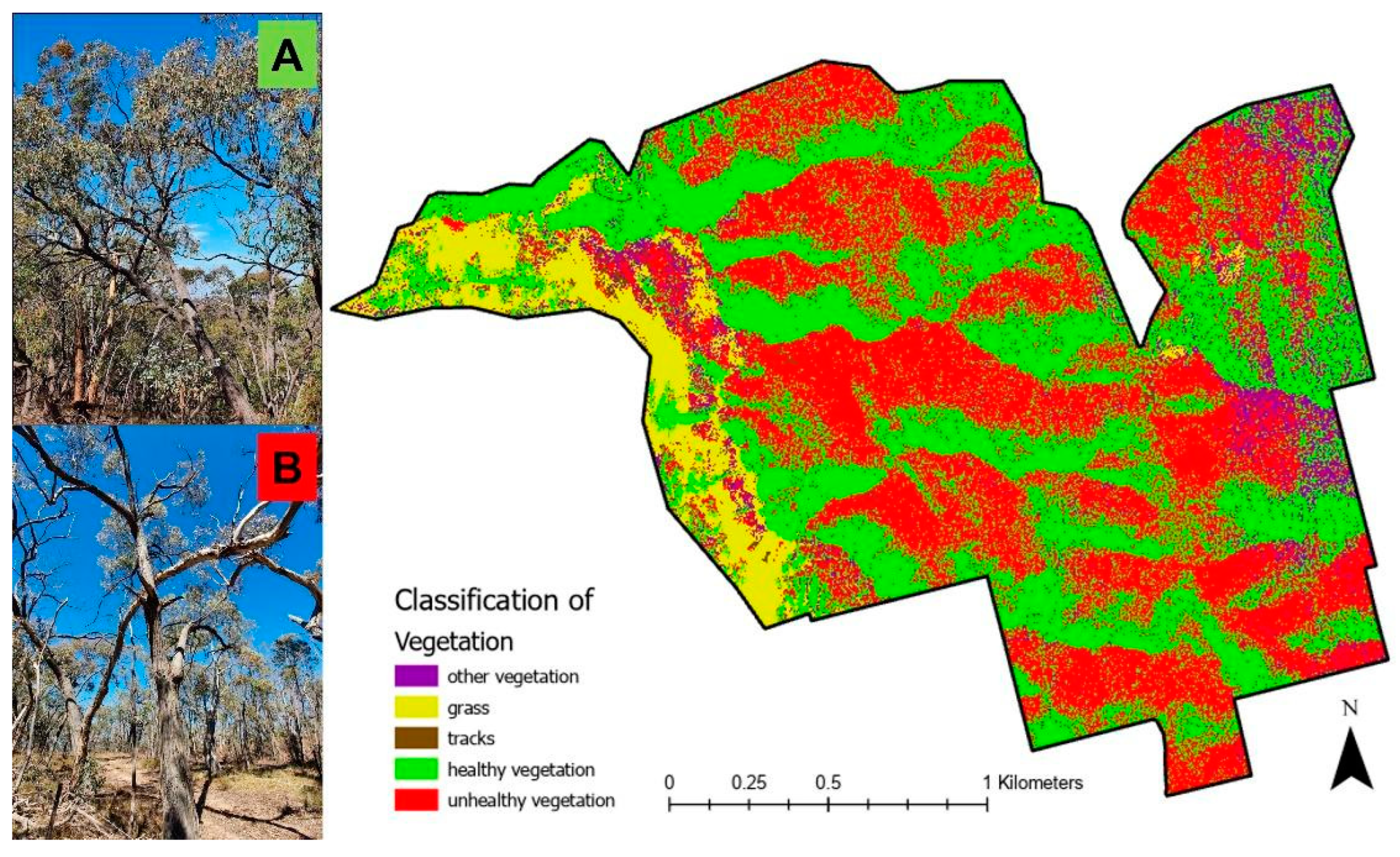 Land 12 01271 g003 Land 12 01271 g003