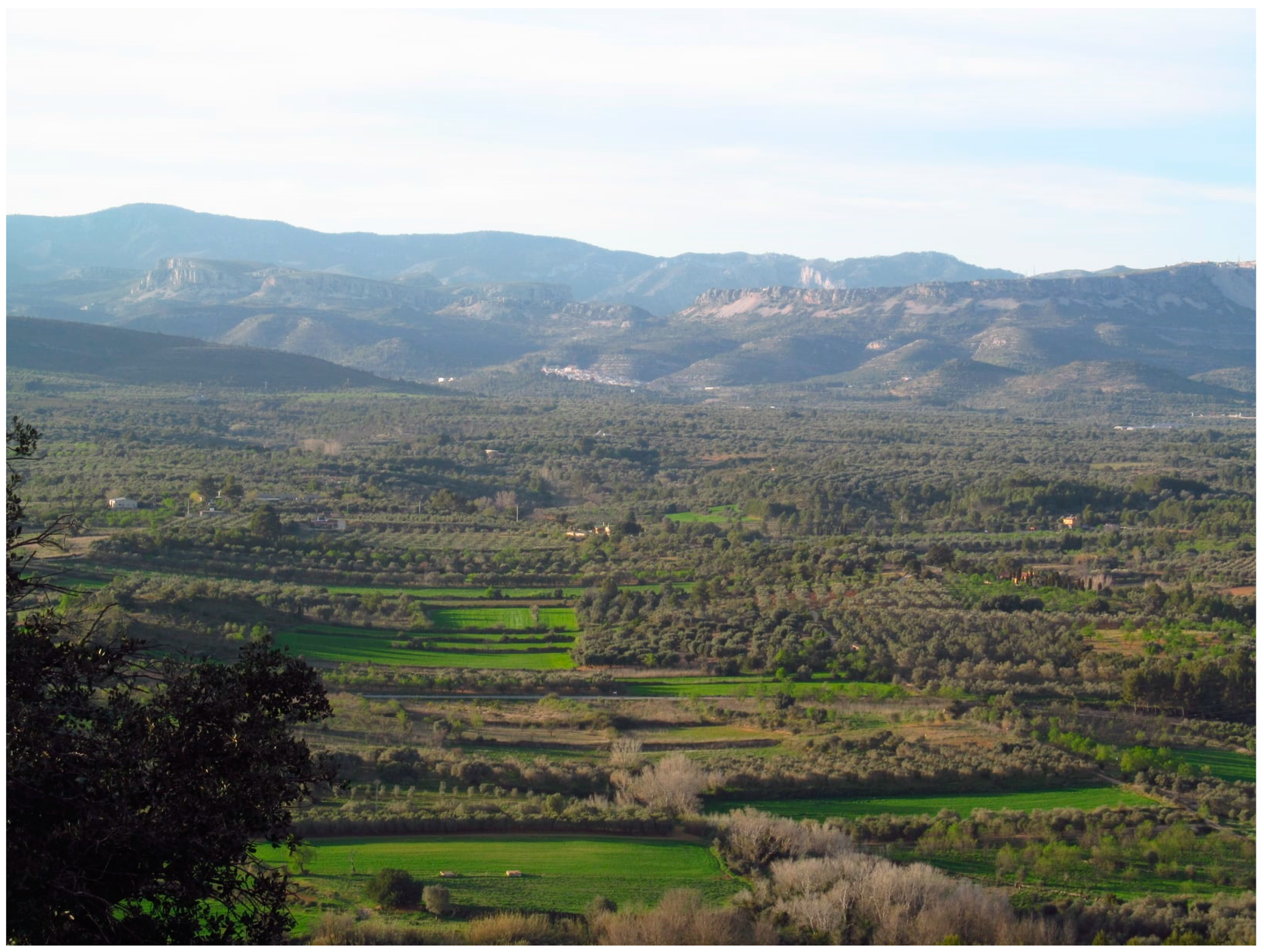 Land 12 01331 g005 Land 12 01331 g005