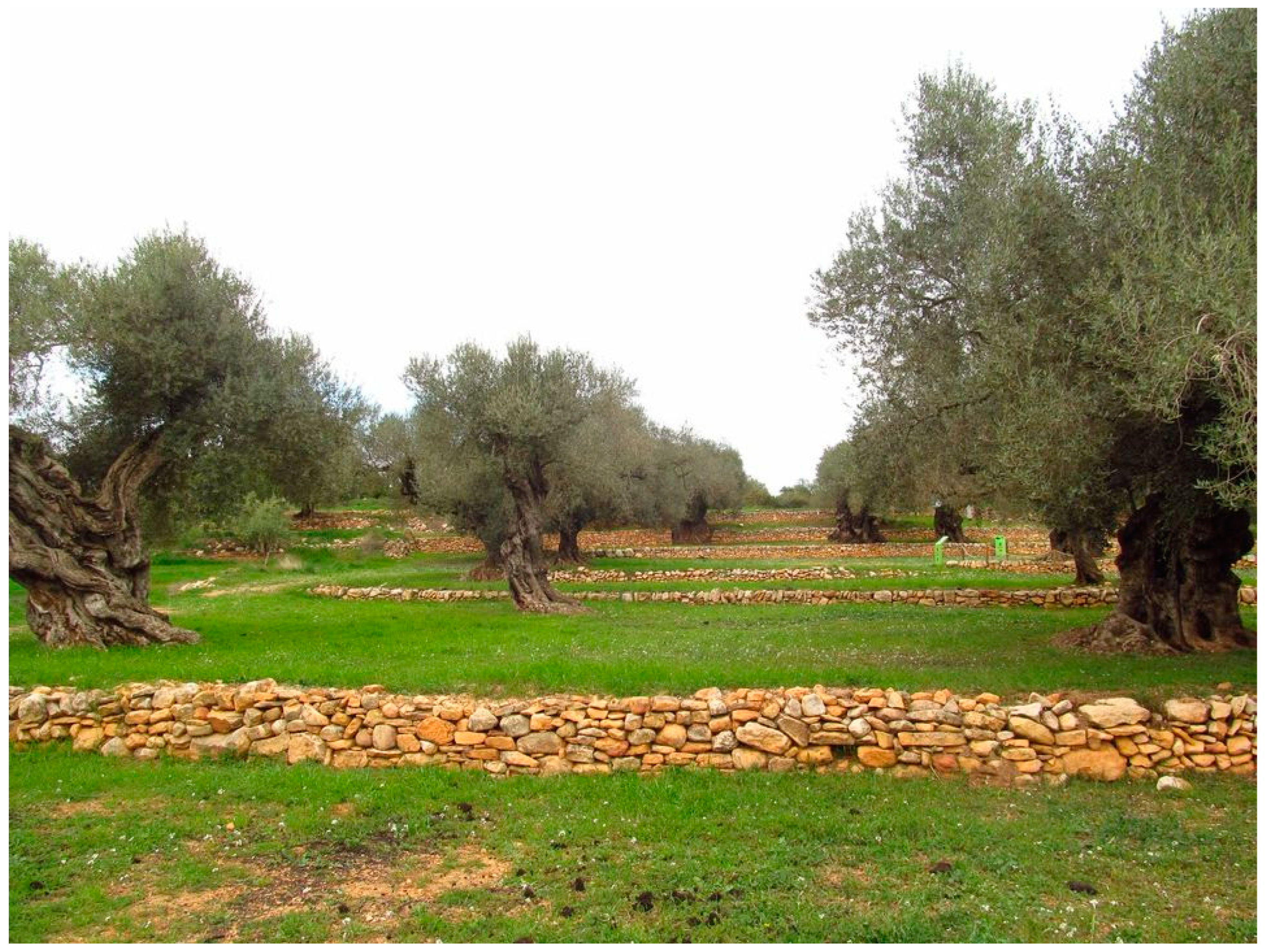 Land 12 01331 g008 Land 12 01331 g008