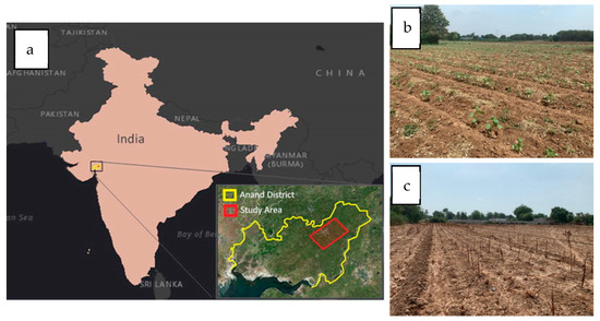 Soils of East Pakistan