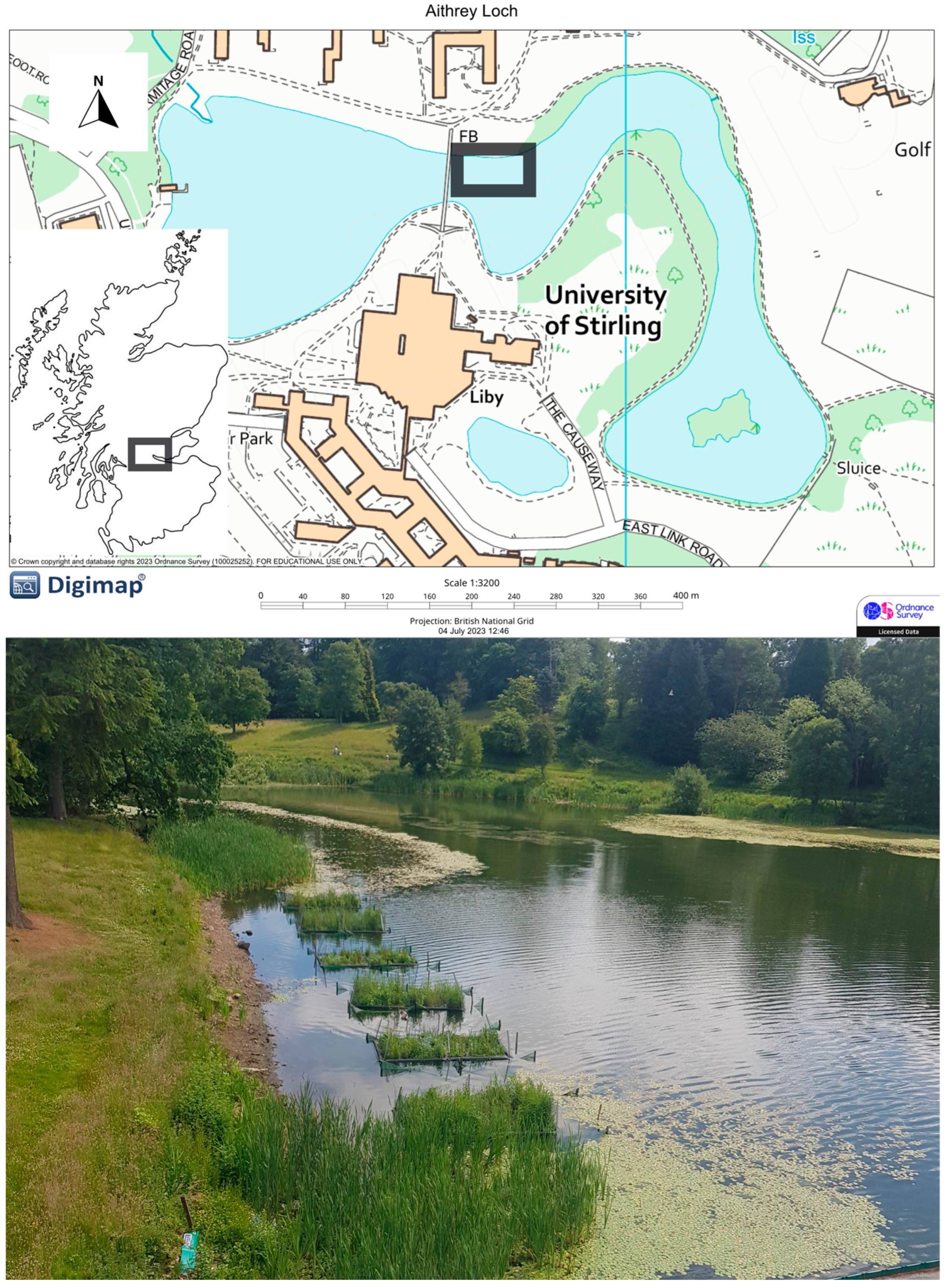 Land Free Full Text Field Scale Floating Treatment Wetlands