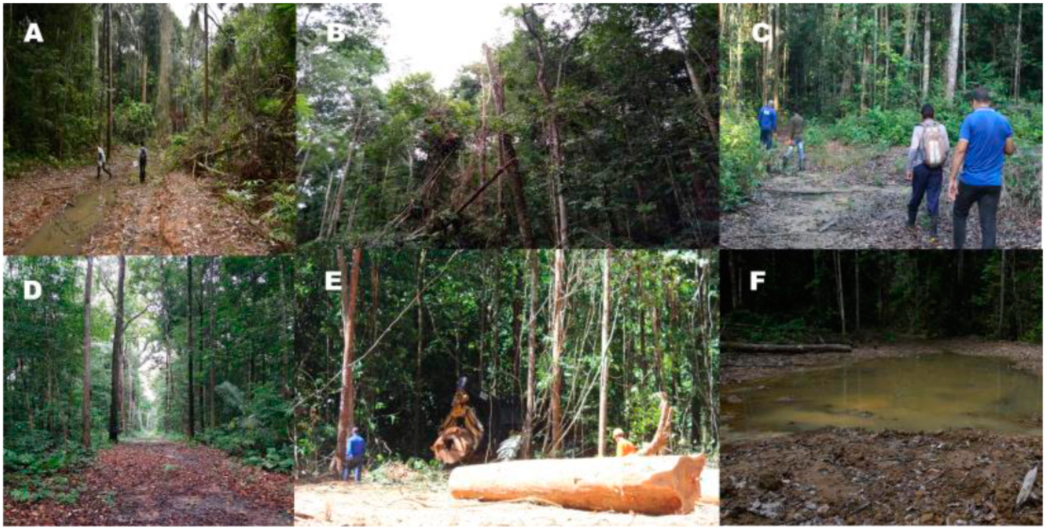 Land 12 01437 g003 Land 12 01437 g003