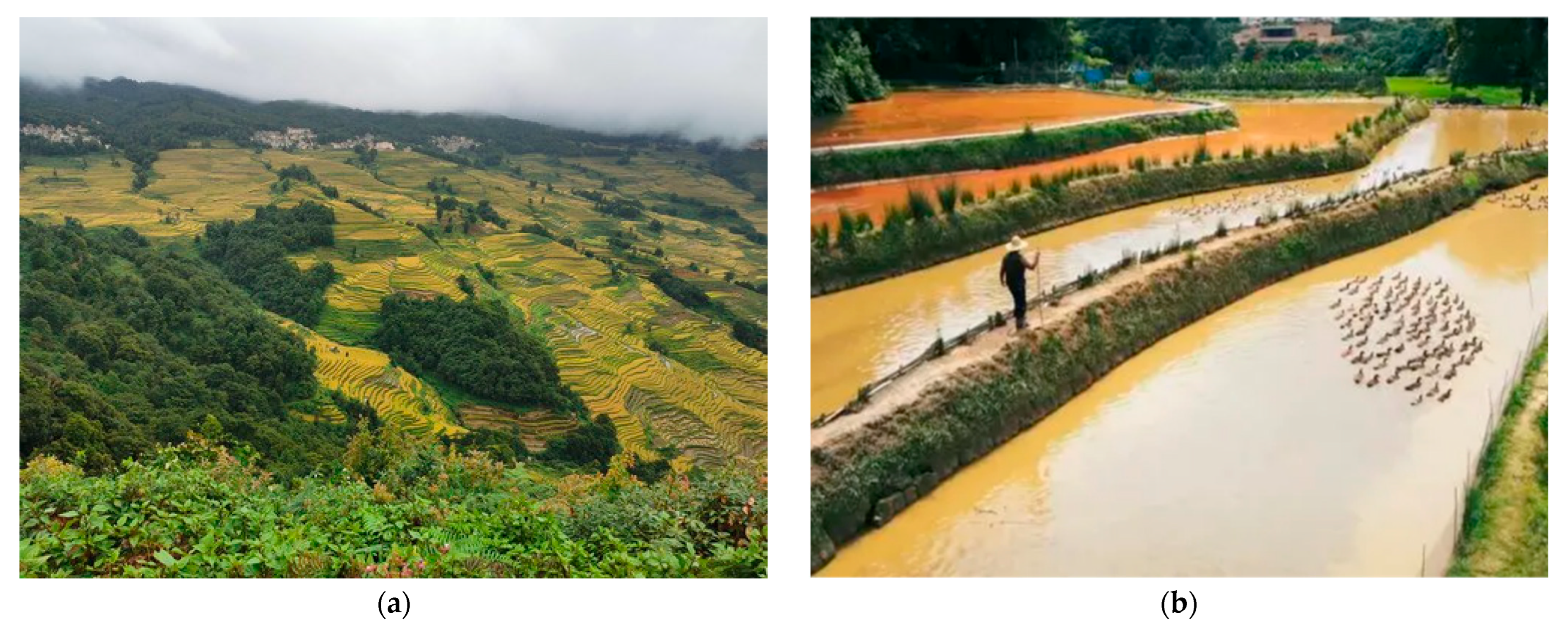 Land 12 01464 g007a Land 12 01464 g007a