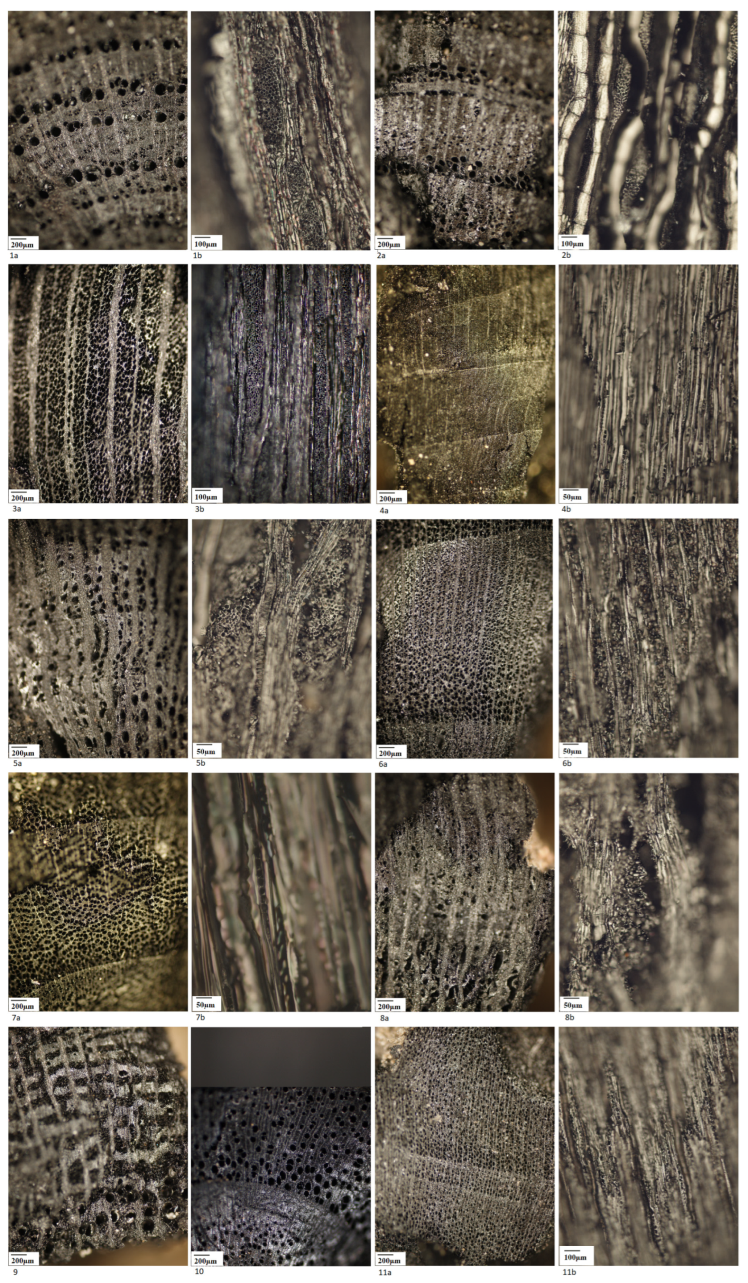 Land 12 01550 g007 Land 12 01550 g007