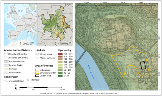 Thermal Comfort Assessment in Urban Green Spaces: Contribution of ...
