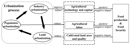 The Impact of Urbanization on Food Security: A ... Biology Diagrams