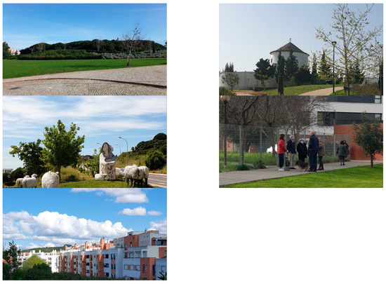 Grounded In The Landscape Climate Action Well Being And Public Space 