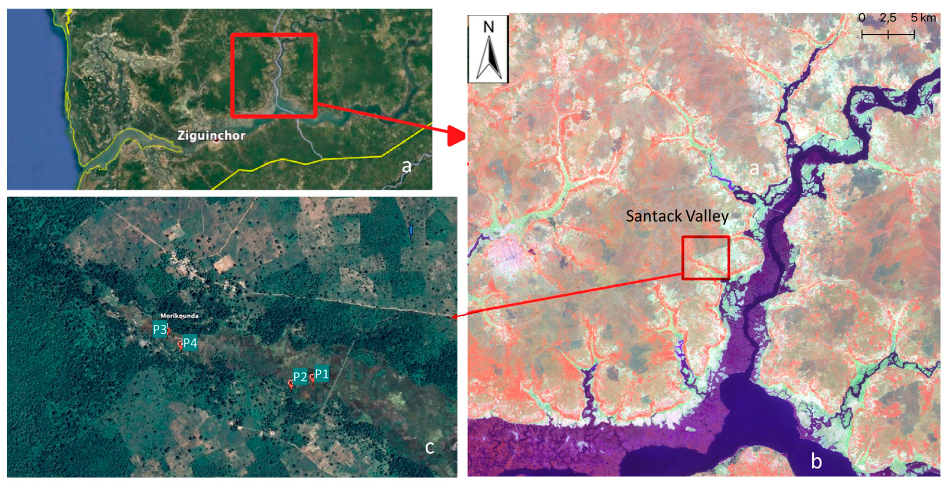 Land 12 01693 g001 Land 12 01693 g001