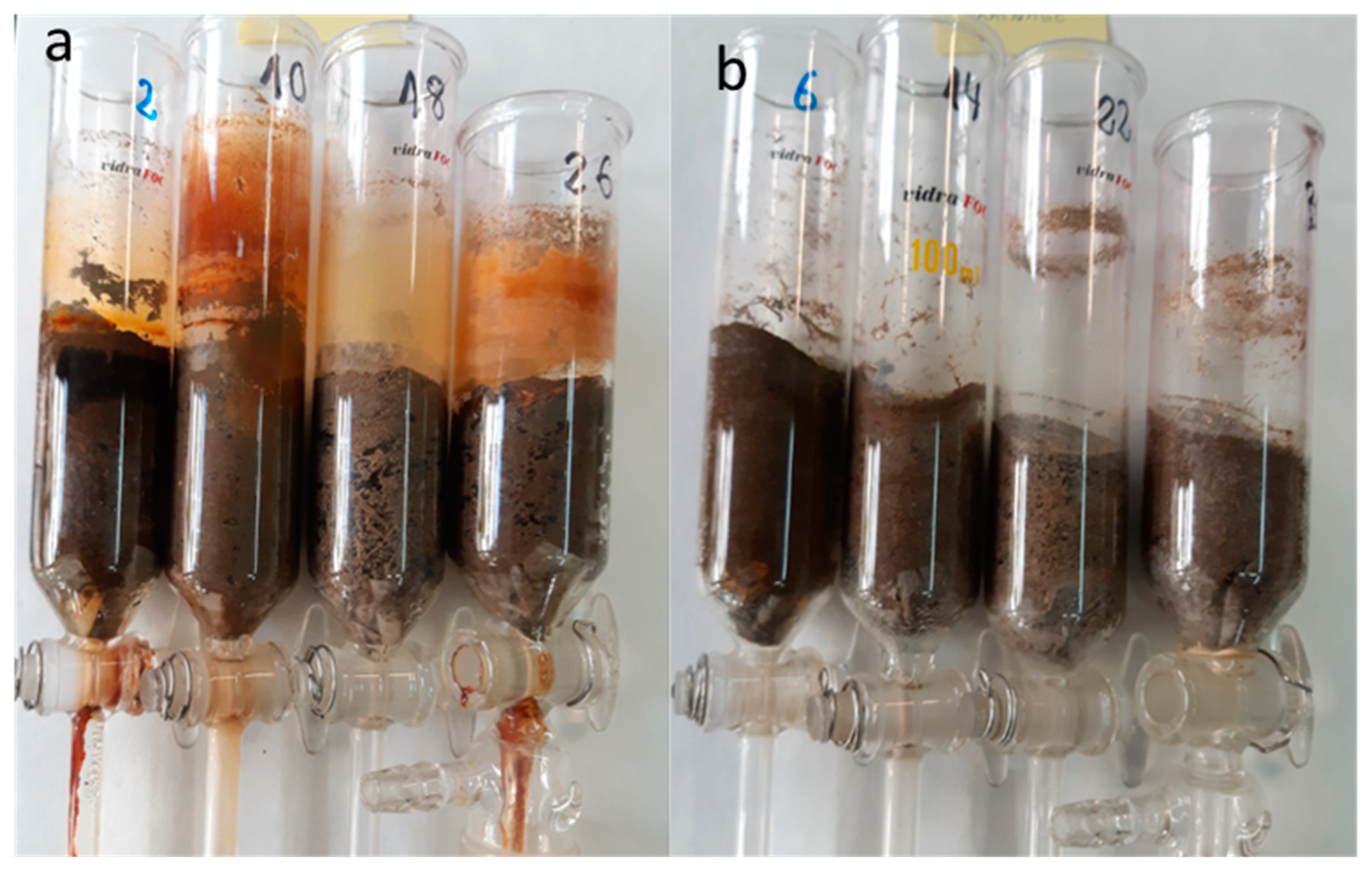 Land 12 01693 g004 Land 12 01693 g004