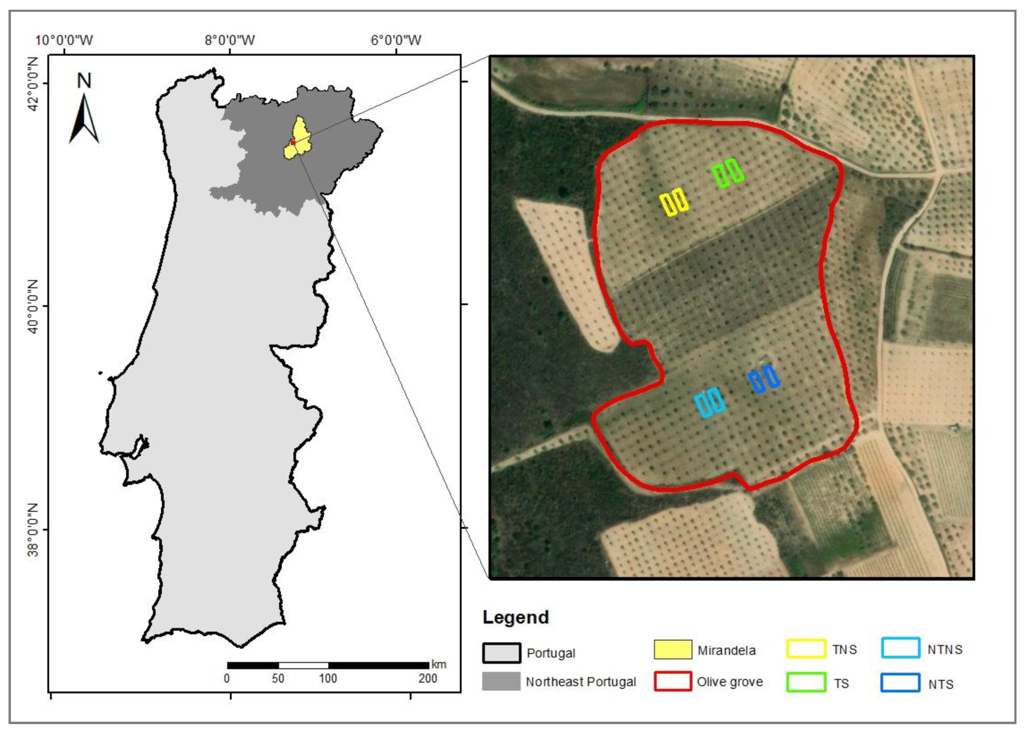 Land | Free Full-Text | Erosion Control Performance of Improved Soil  Management in Olive Groves: A Field Experimental Study in NE Portugal
