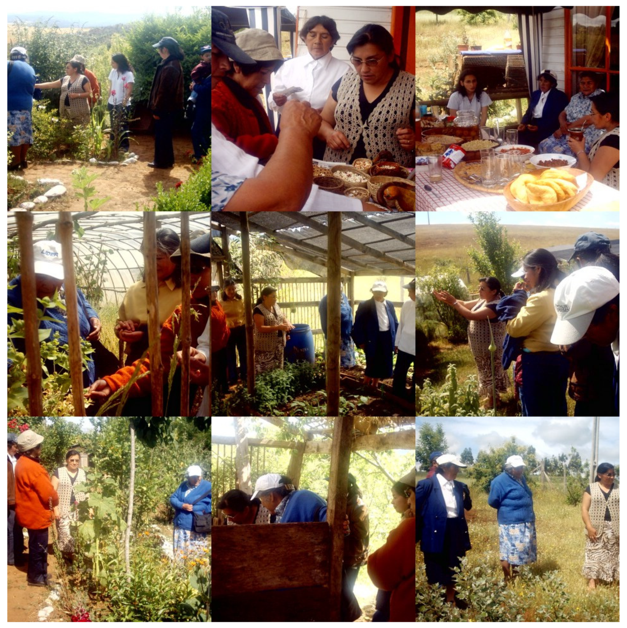 Land 12 01704 g002 Land 12 01704 g002