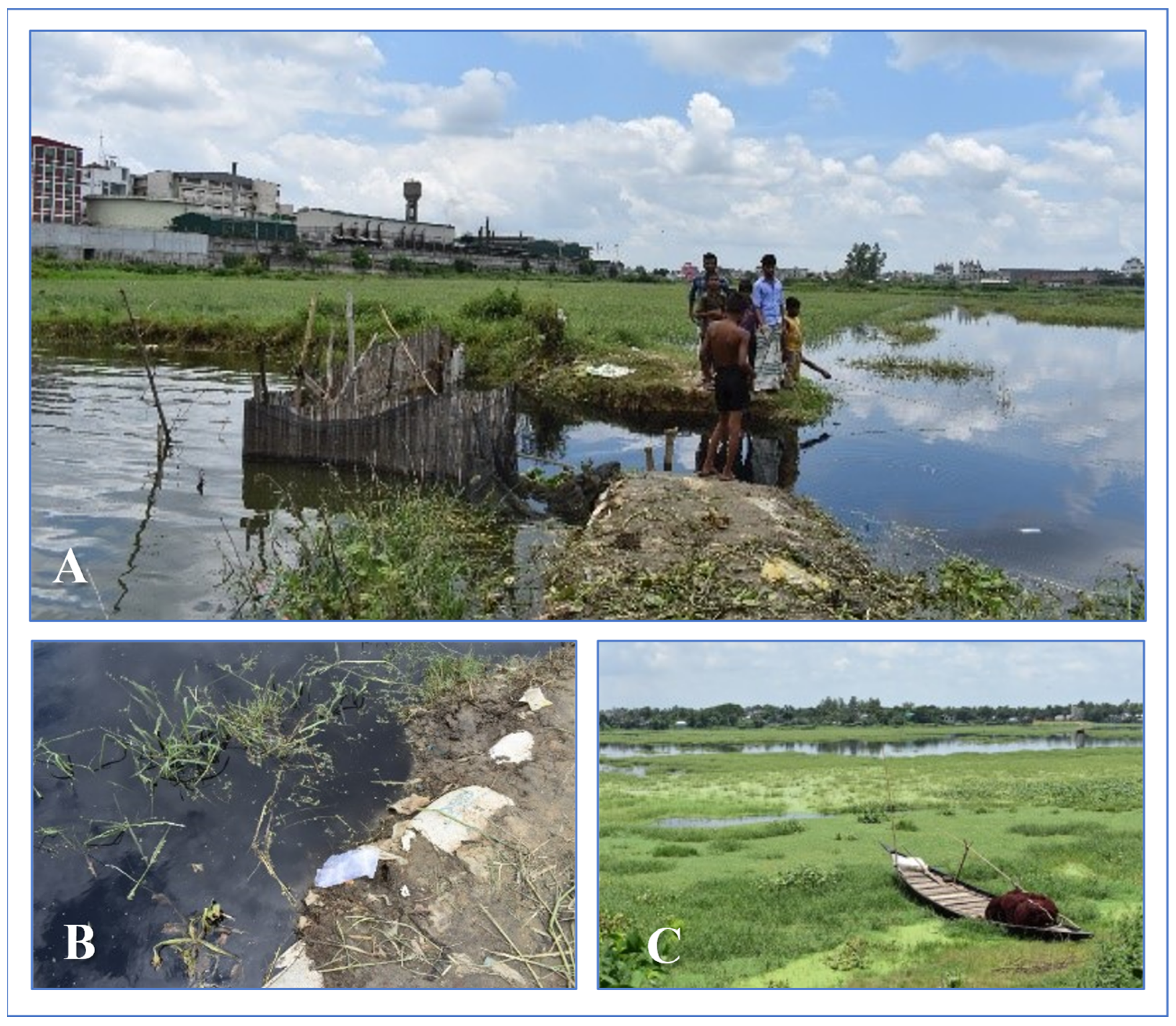 Land 12 01753 g011 Land 12 01753 g011