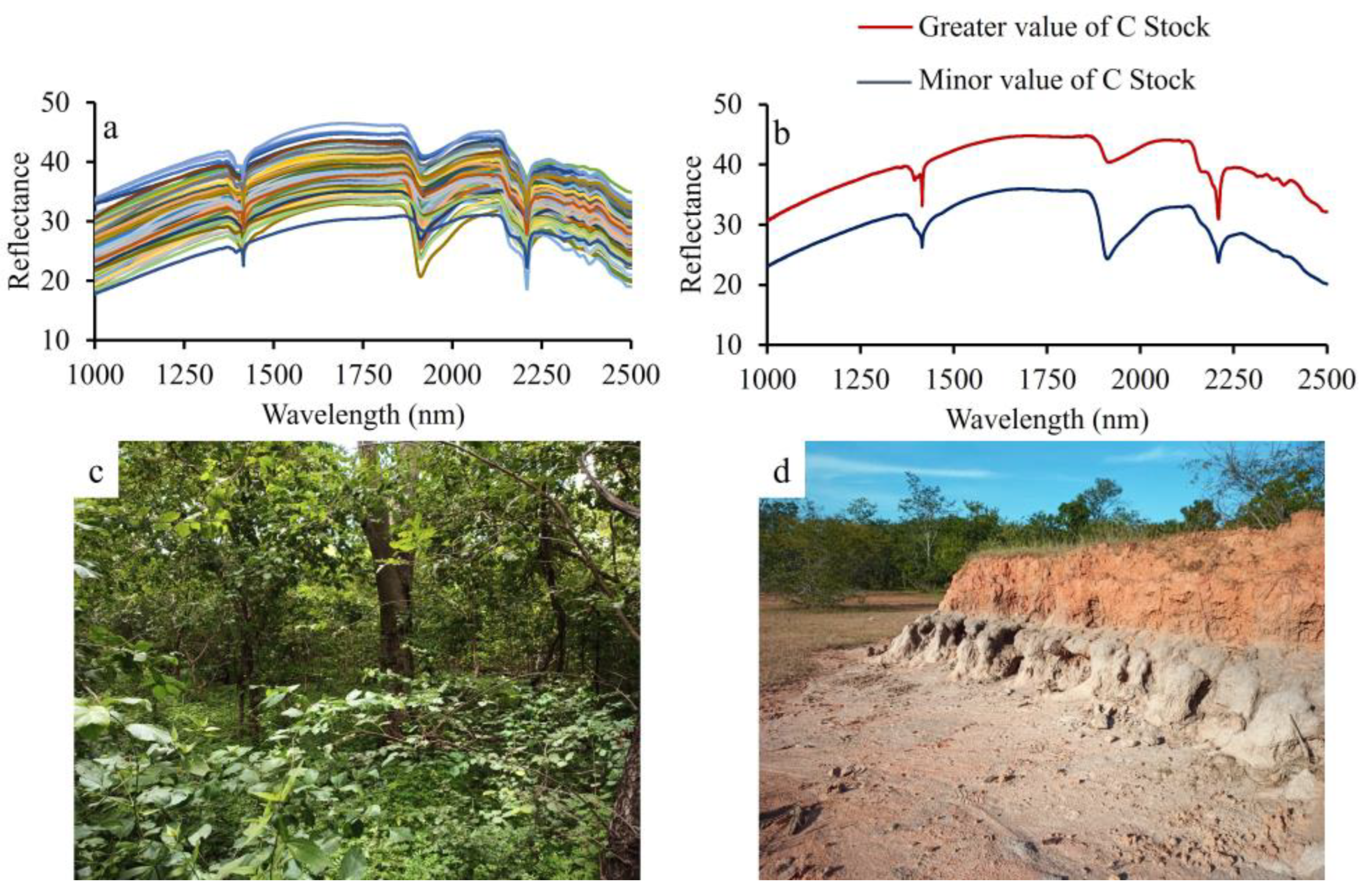 Land 12 01812 g004 Land 12 01812 g004