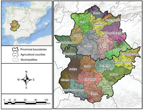 The Common Agricultural Policy (CAP) in Extremadura (SW Spain) during ...