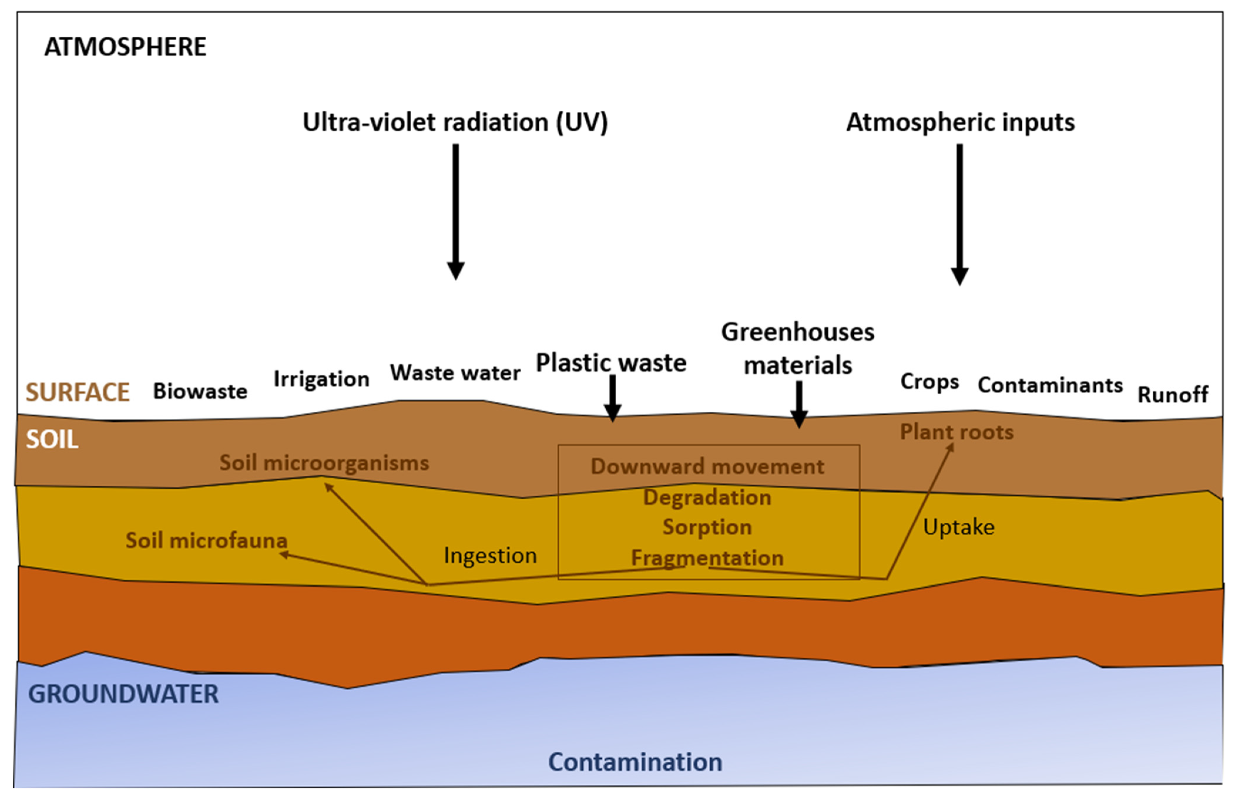 Clear Plastic Lv Bag  Natural Resource Department