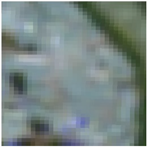 Land 12 02030 i013 Land 12 02030 i013