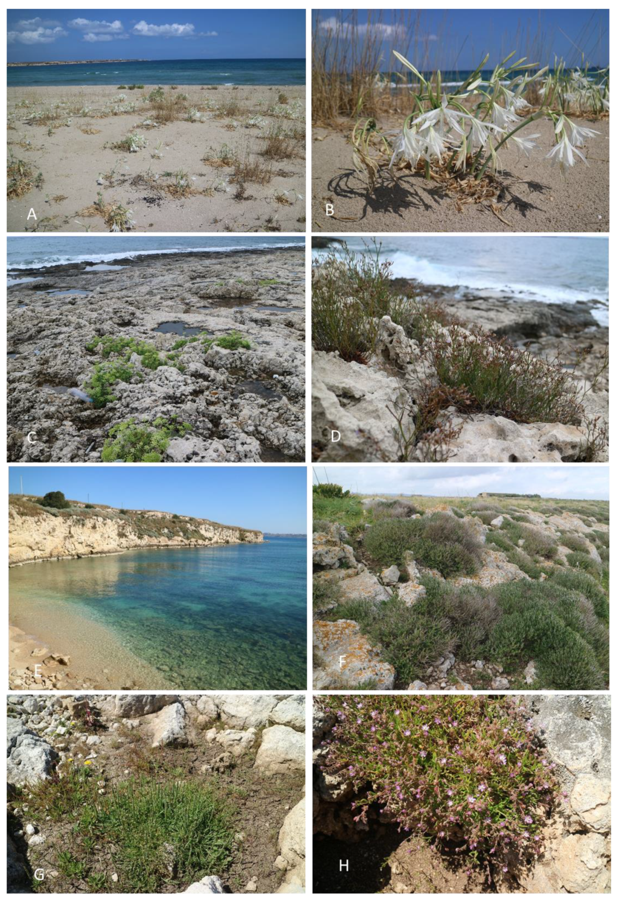 Land 13 00062 g004 Land 13 00062 g004