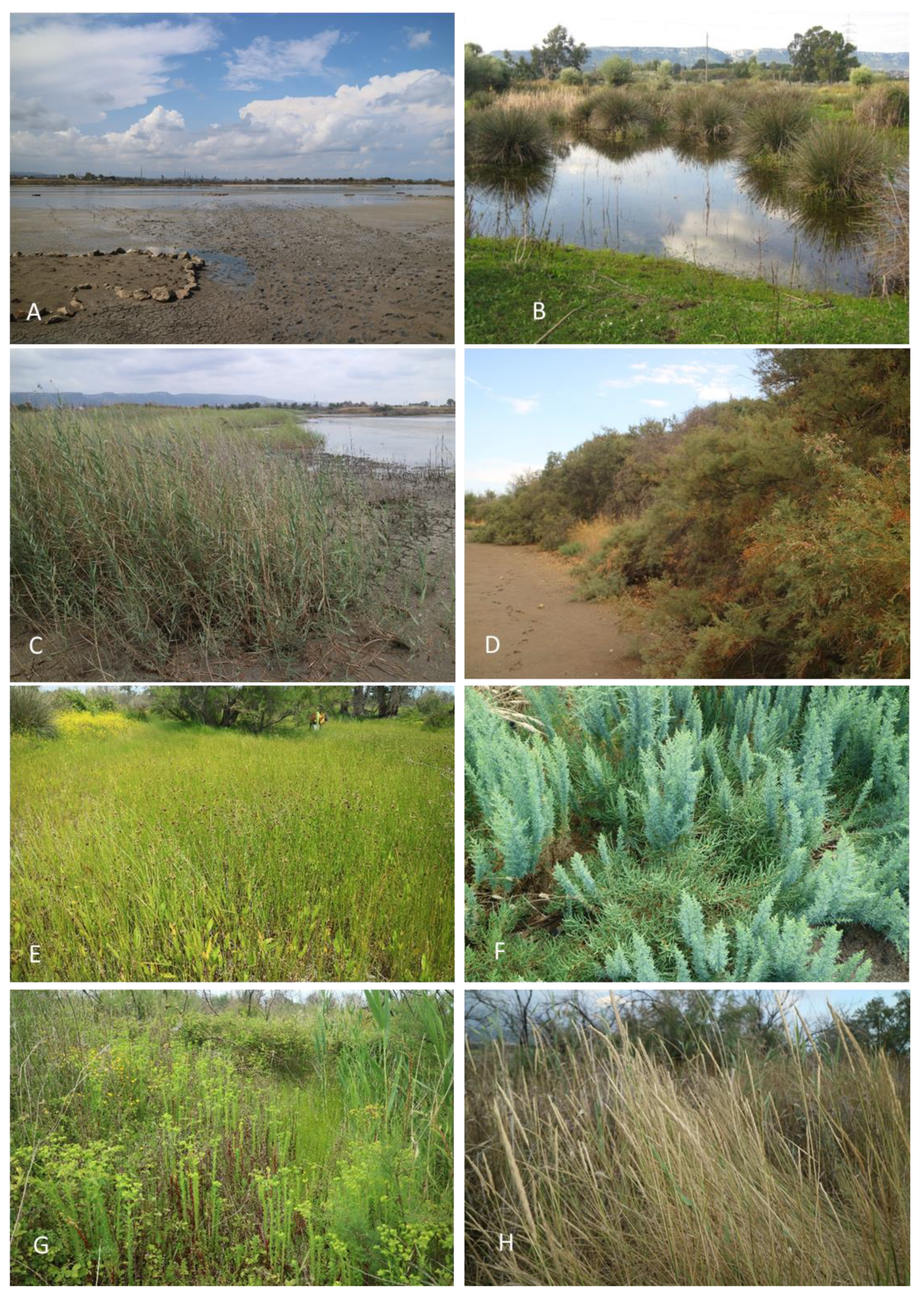 Land 13 00062 g007 Land 13 00062 g007