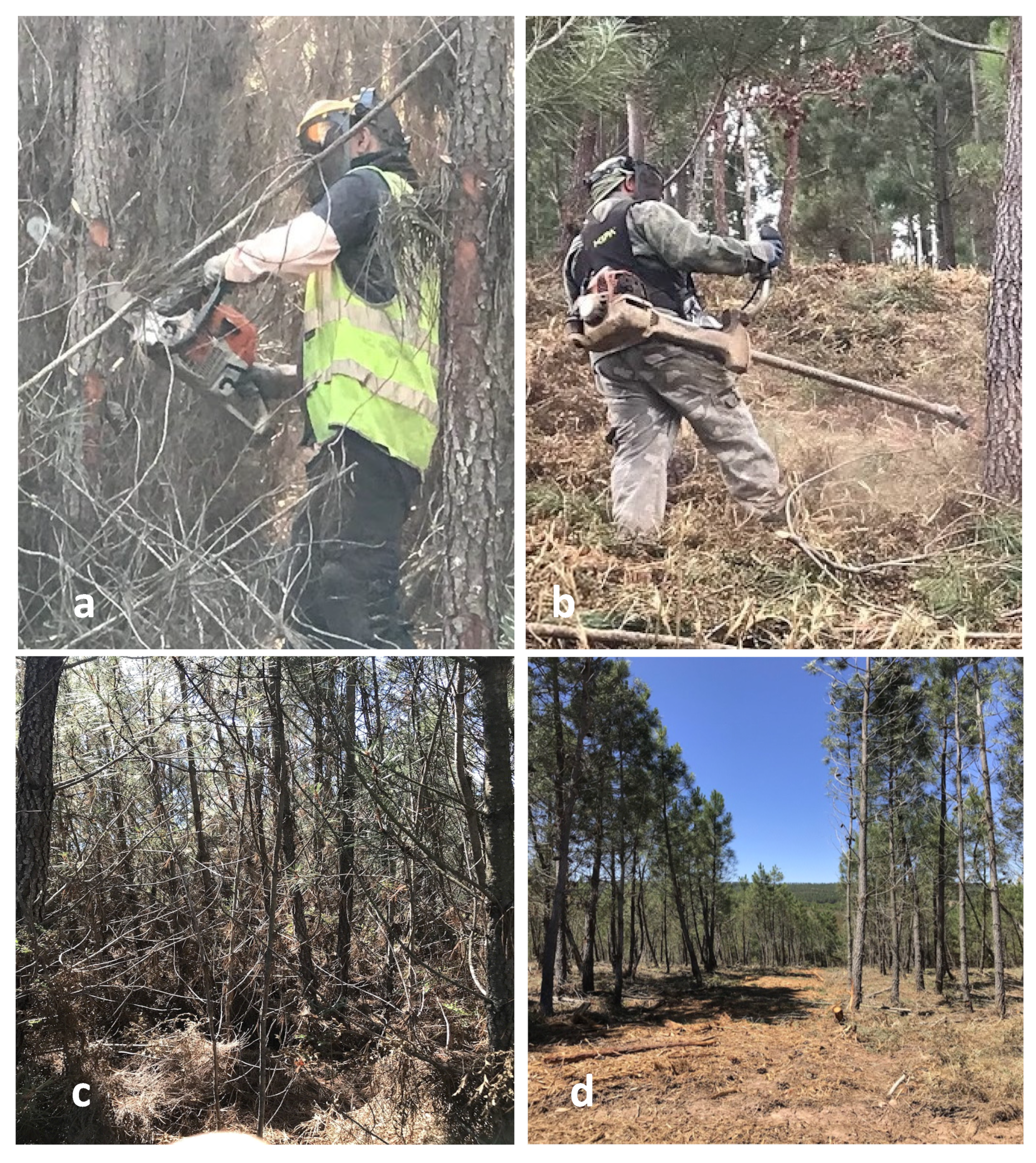 Land 13 00170 g003 Land 13 00170 g003