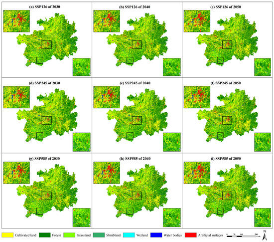 Projections of Land Use Change and Water Supply–Demand Assessment