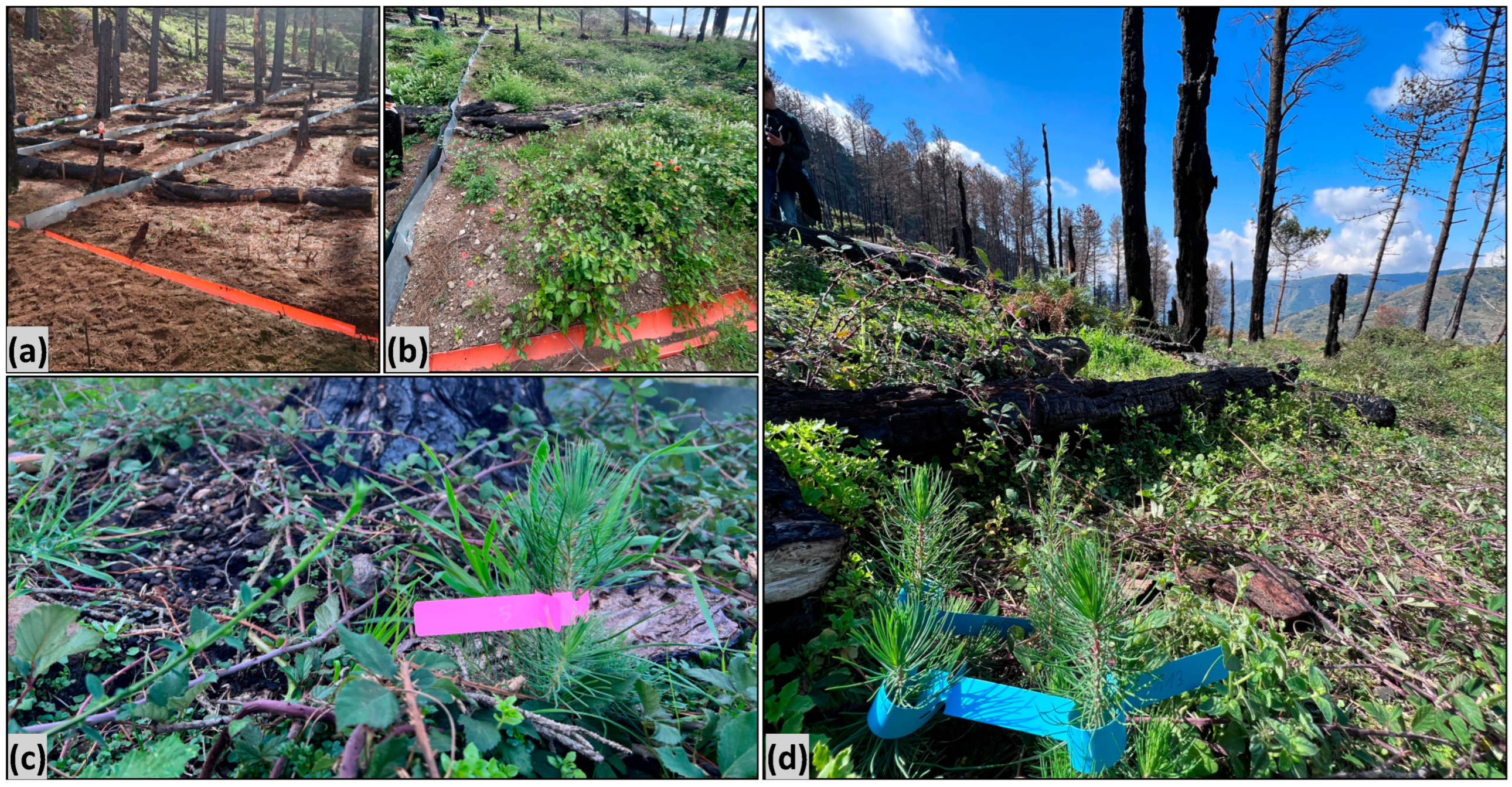 Land 13 00236 sch002