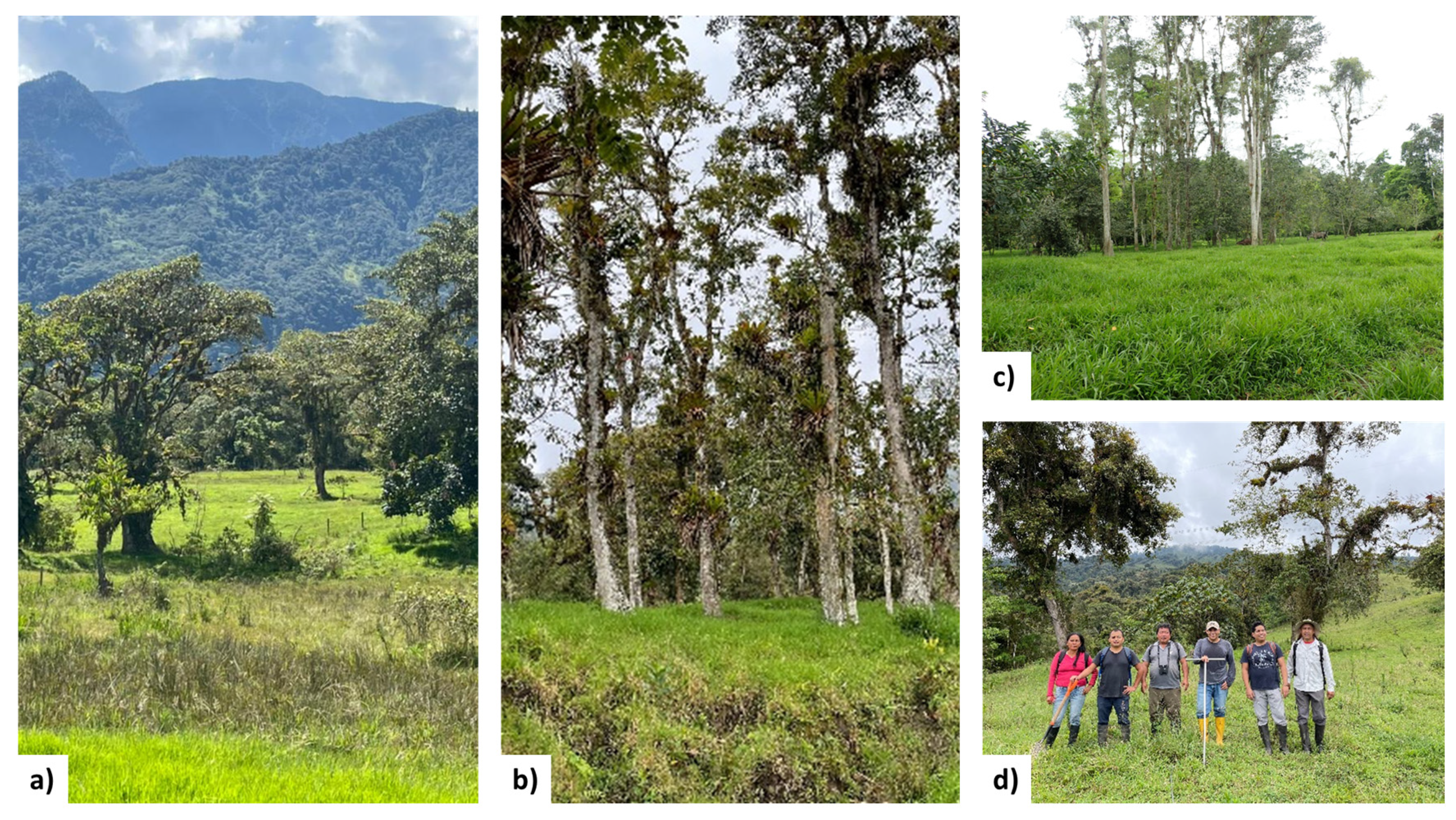 Land 13 00281 g002 Land 13 00281 g002